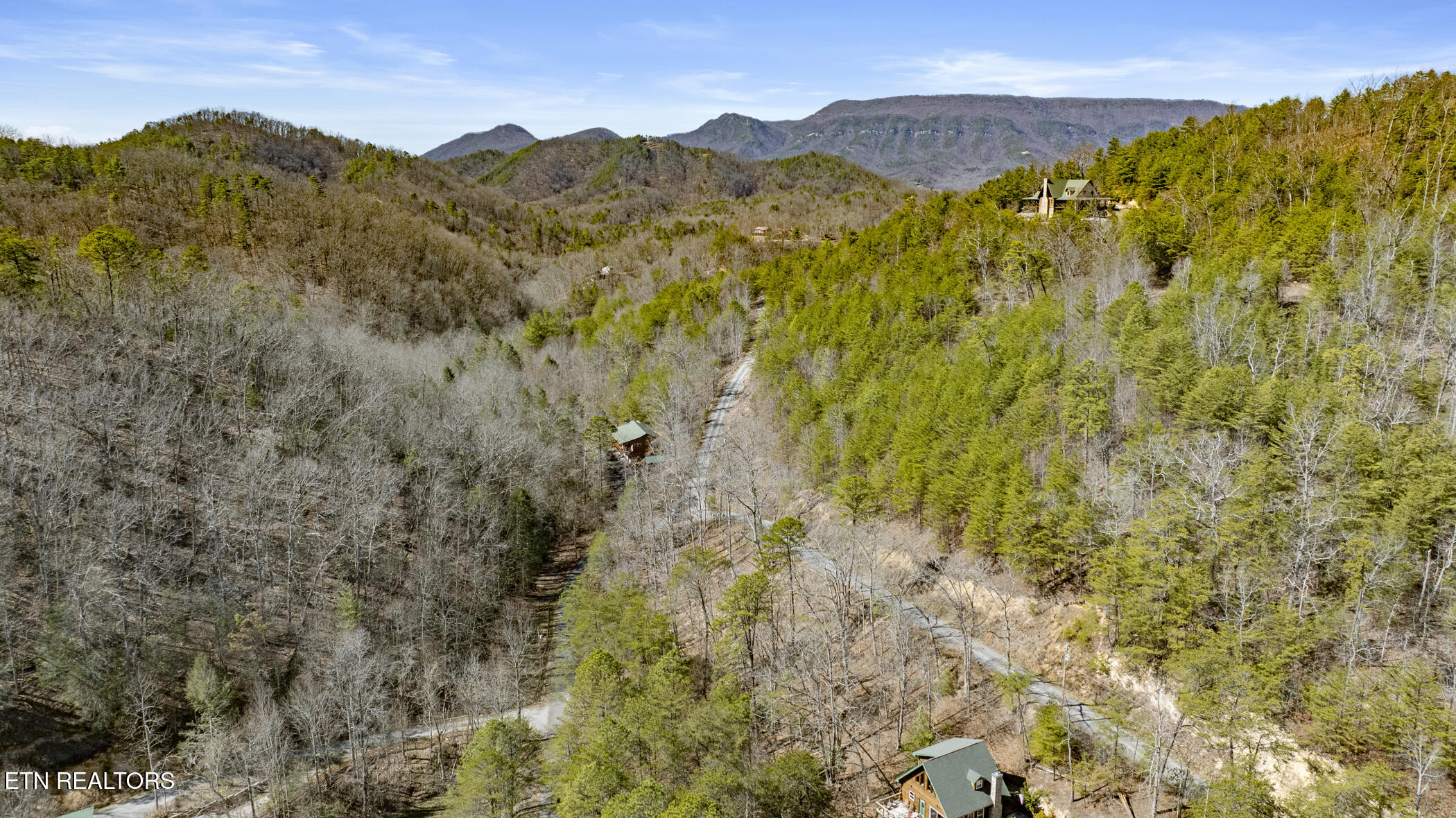 272 Cove Hollow Road Cosby TN 37722