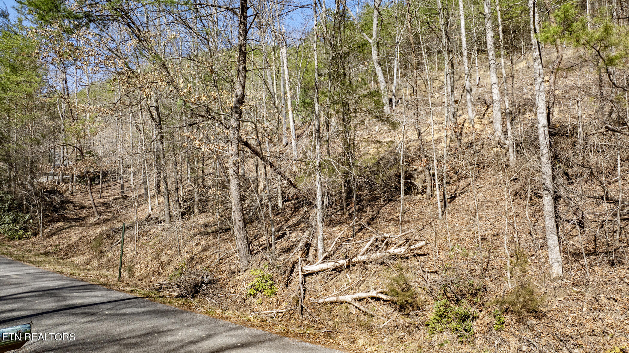272 Cove Hollow Road Cosby TN 37722