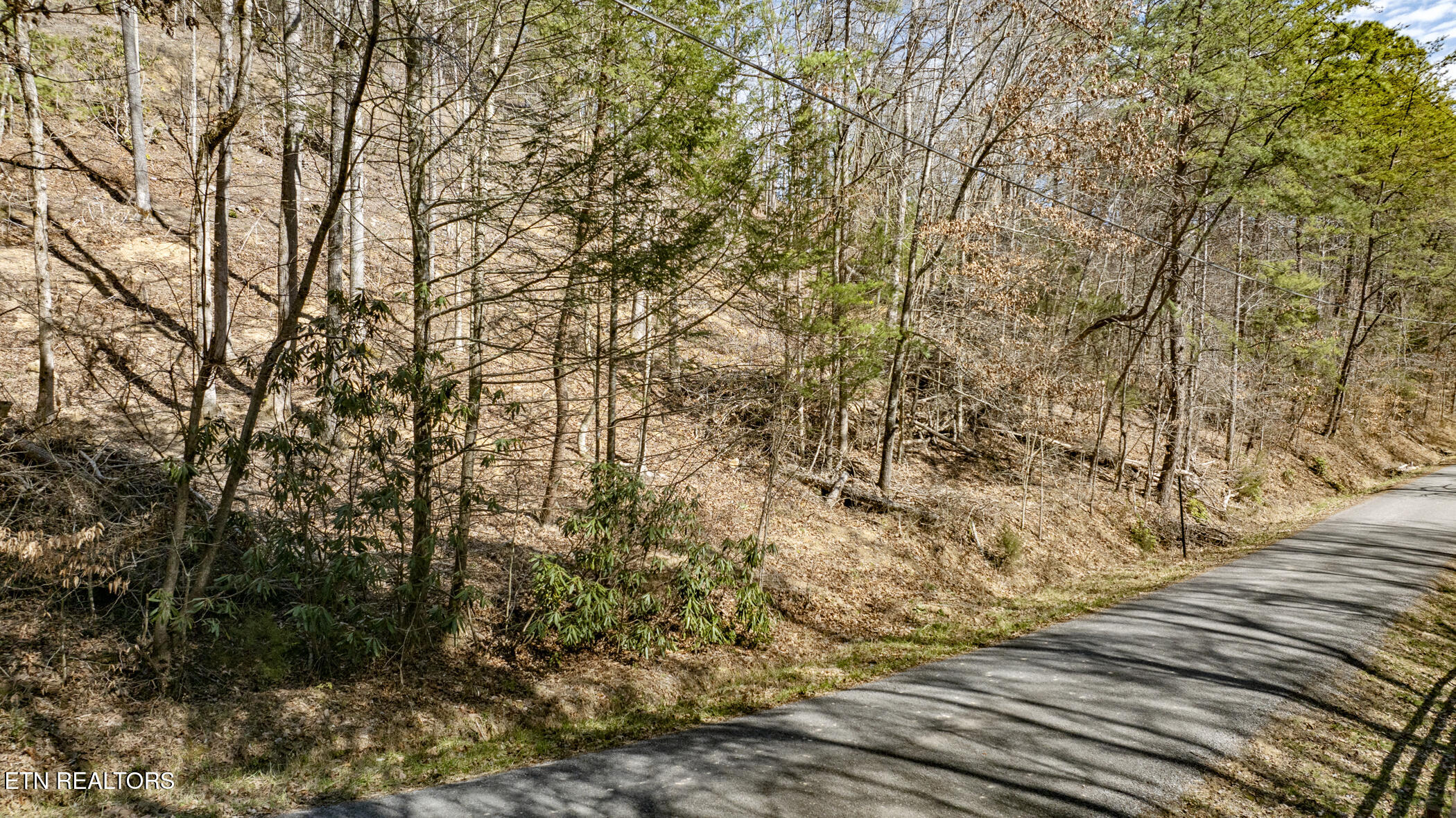 272 Cove Hollow Road Cosby TN 37722