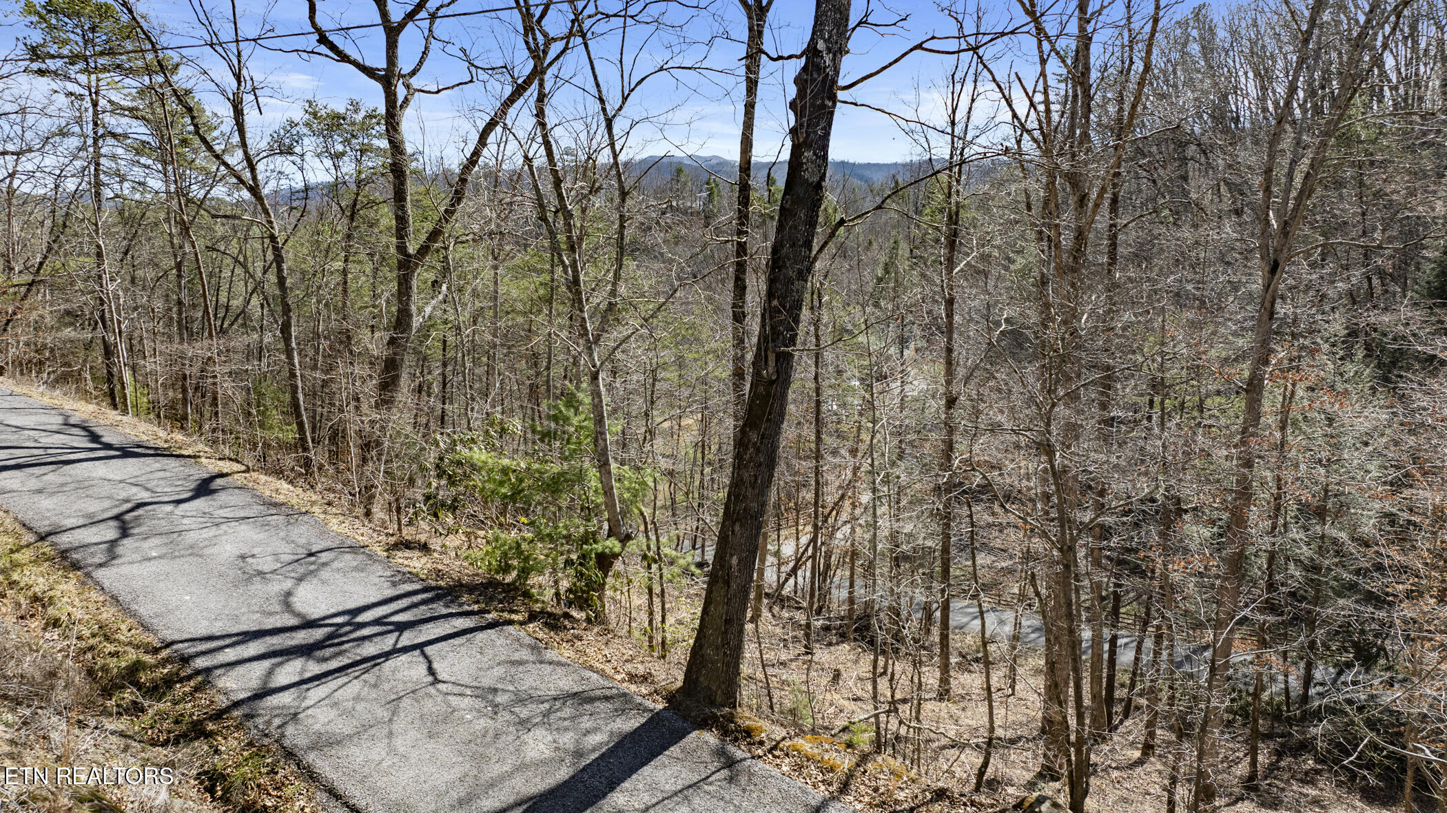 272 Cove Hollow Road Cosby TN 37722