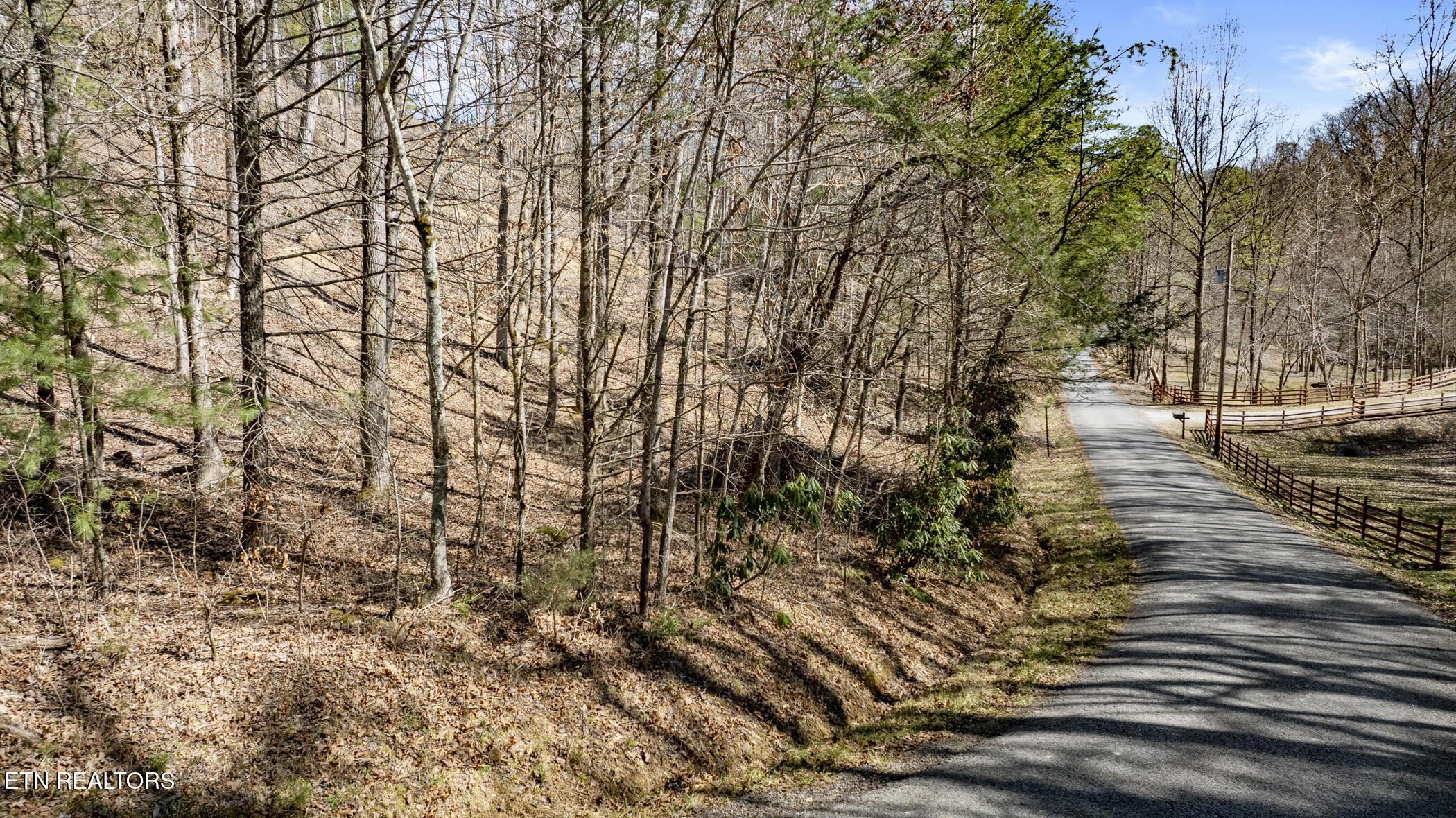 272 Cove Hollow Road Cosby TN 37722