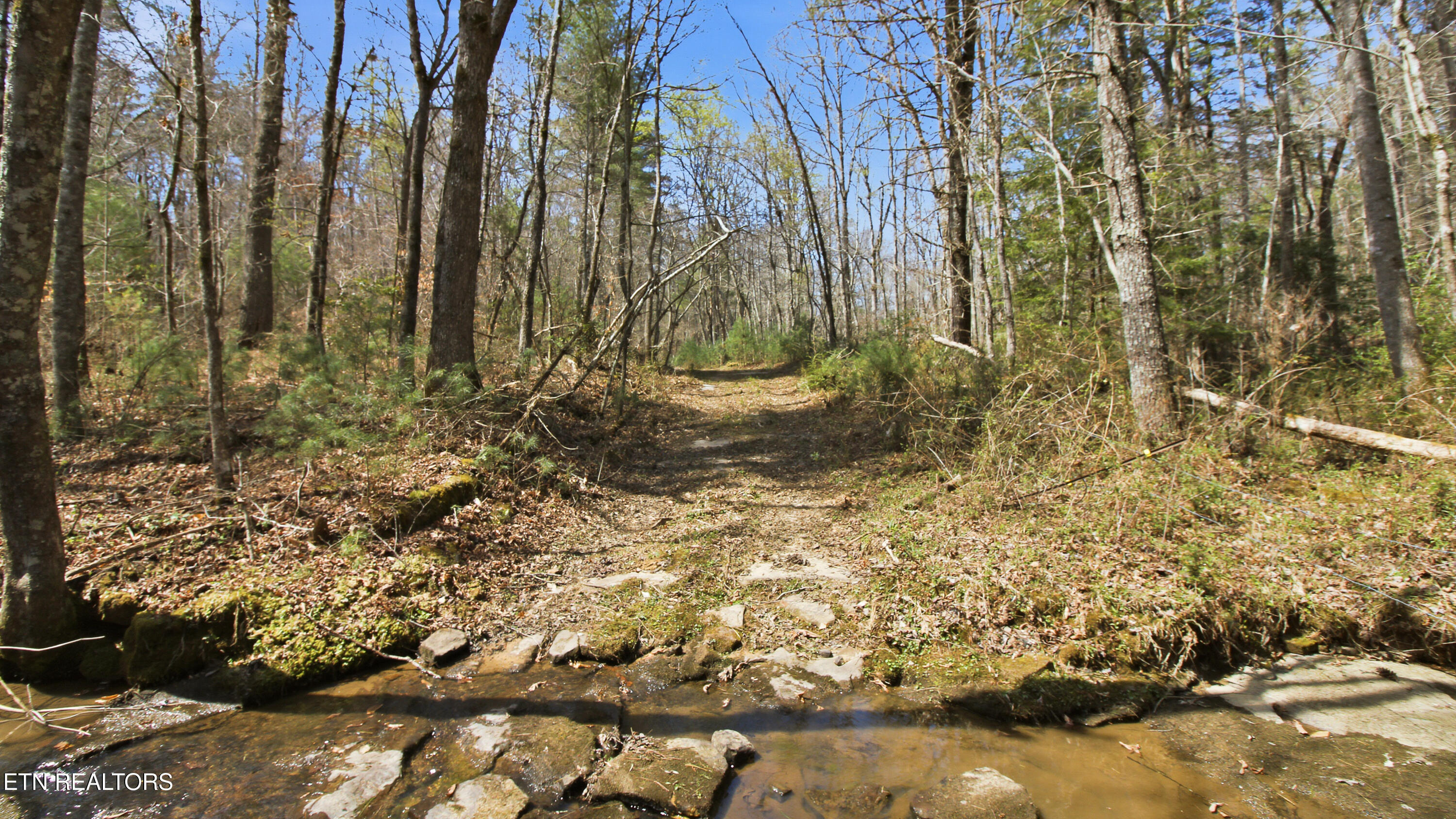 Young Road Robbins TN 37852
