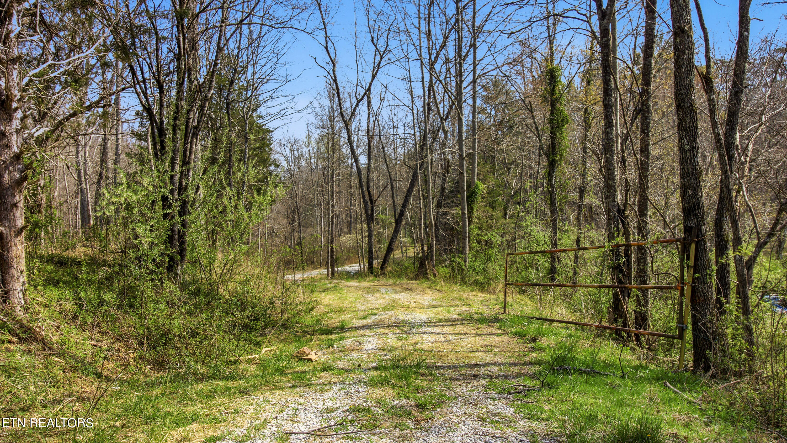 Young Road Robbins TN 37852