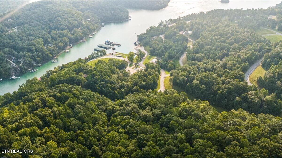 177 Hickory Way Lafollette TN 37766