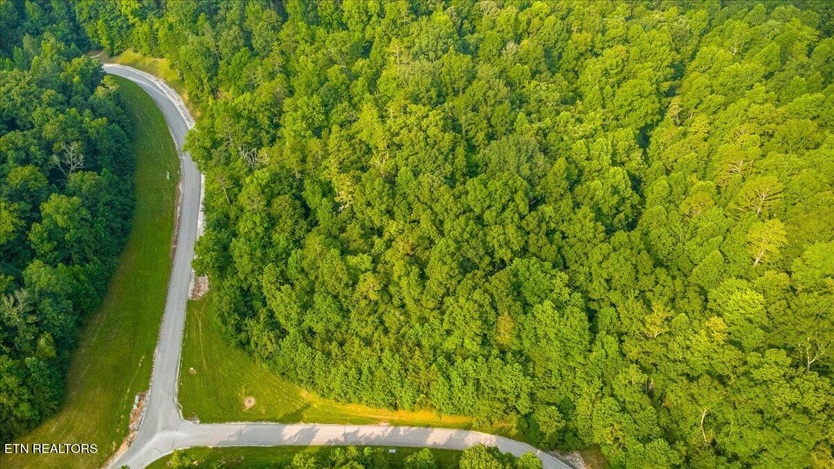 177 Hickory Way Lafollette TN 37766