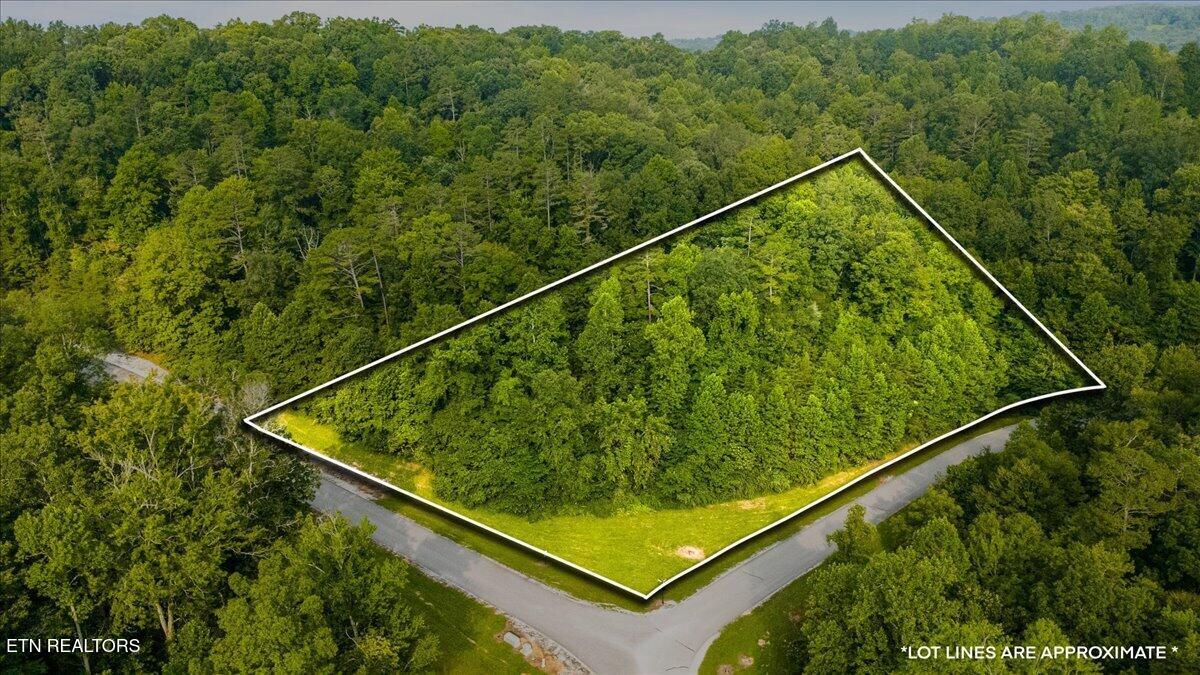 177 Hickory Way Lafollette TN 37766