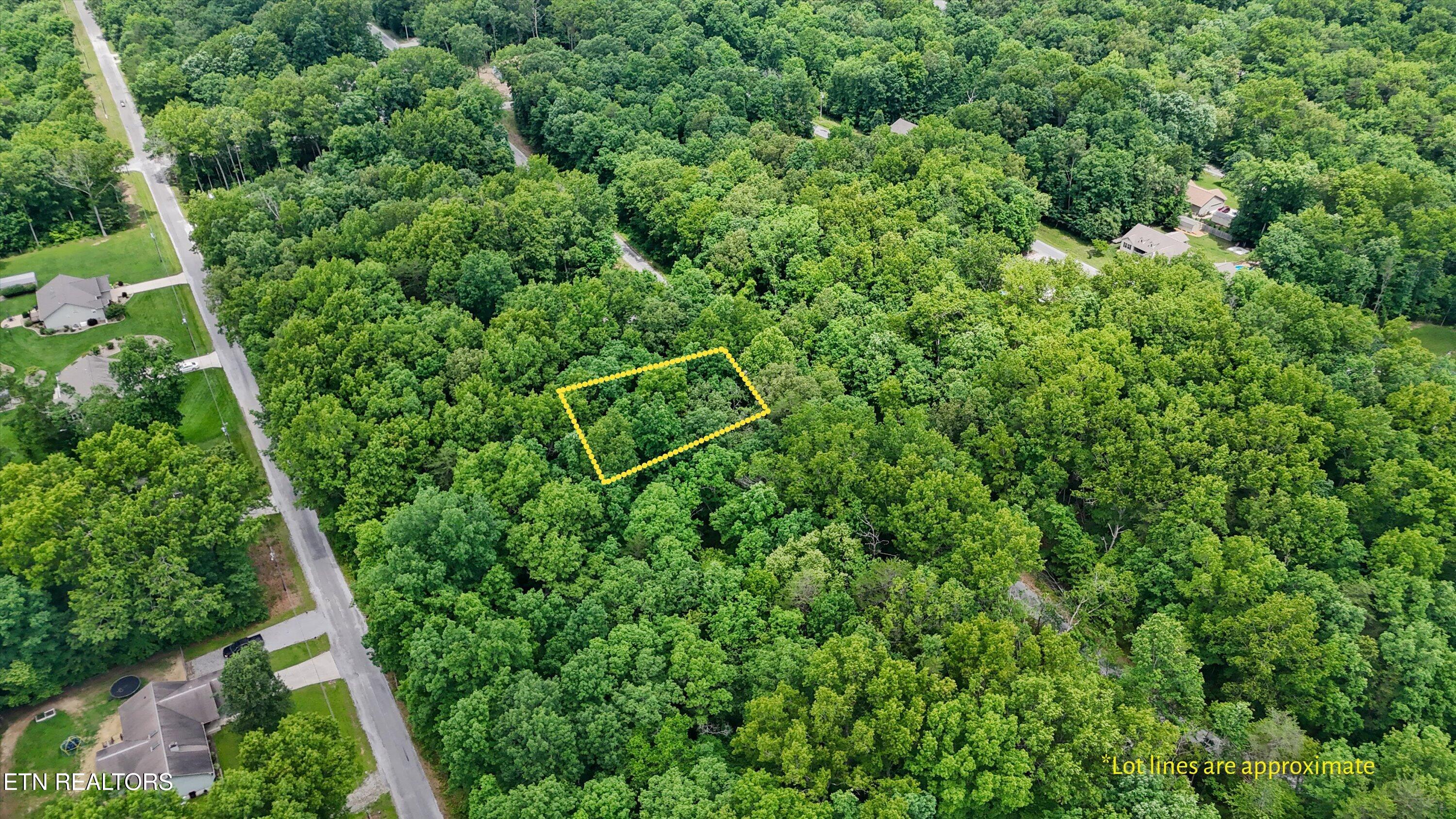 2116 Black Wolf Drive Crossville TN 38572
