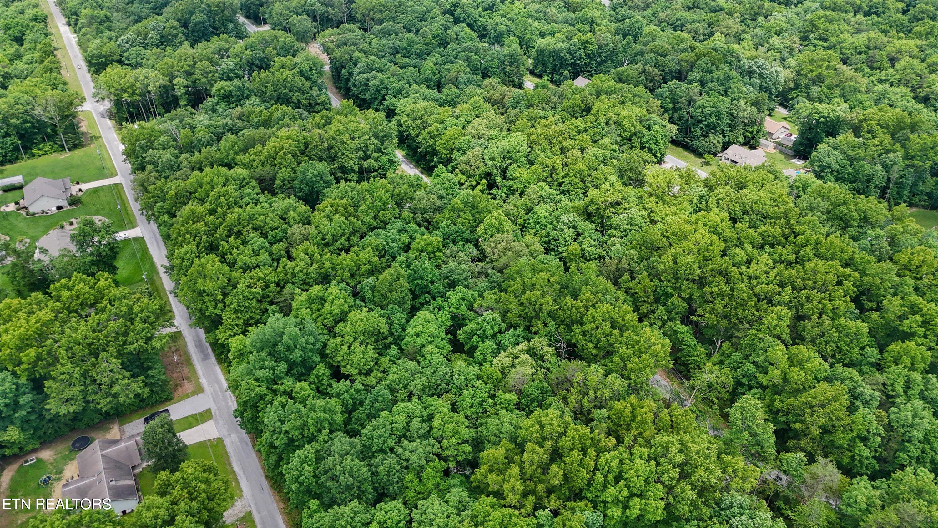 2116 Black Wolf Drive Crossville TN 38572