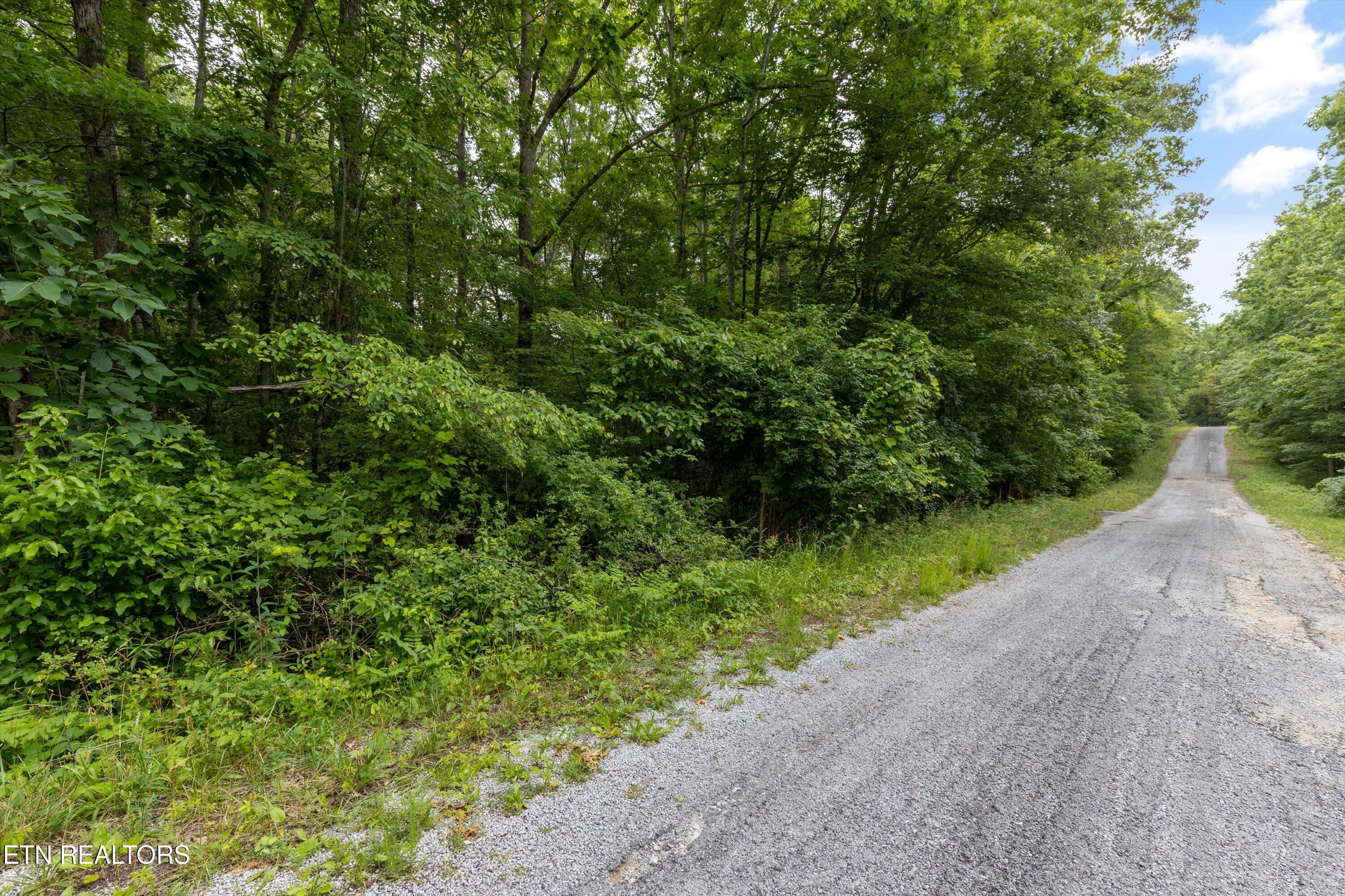 2116 Black Wolf Drive Crossville TN 38572