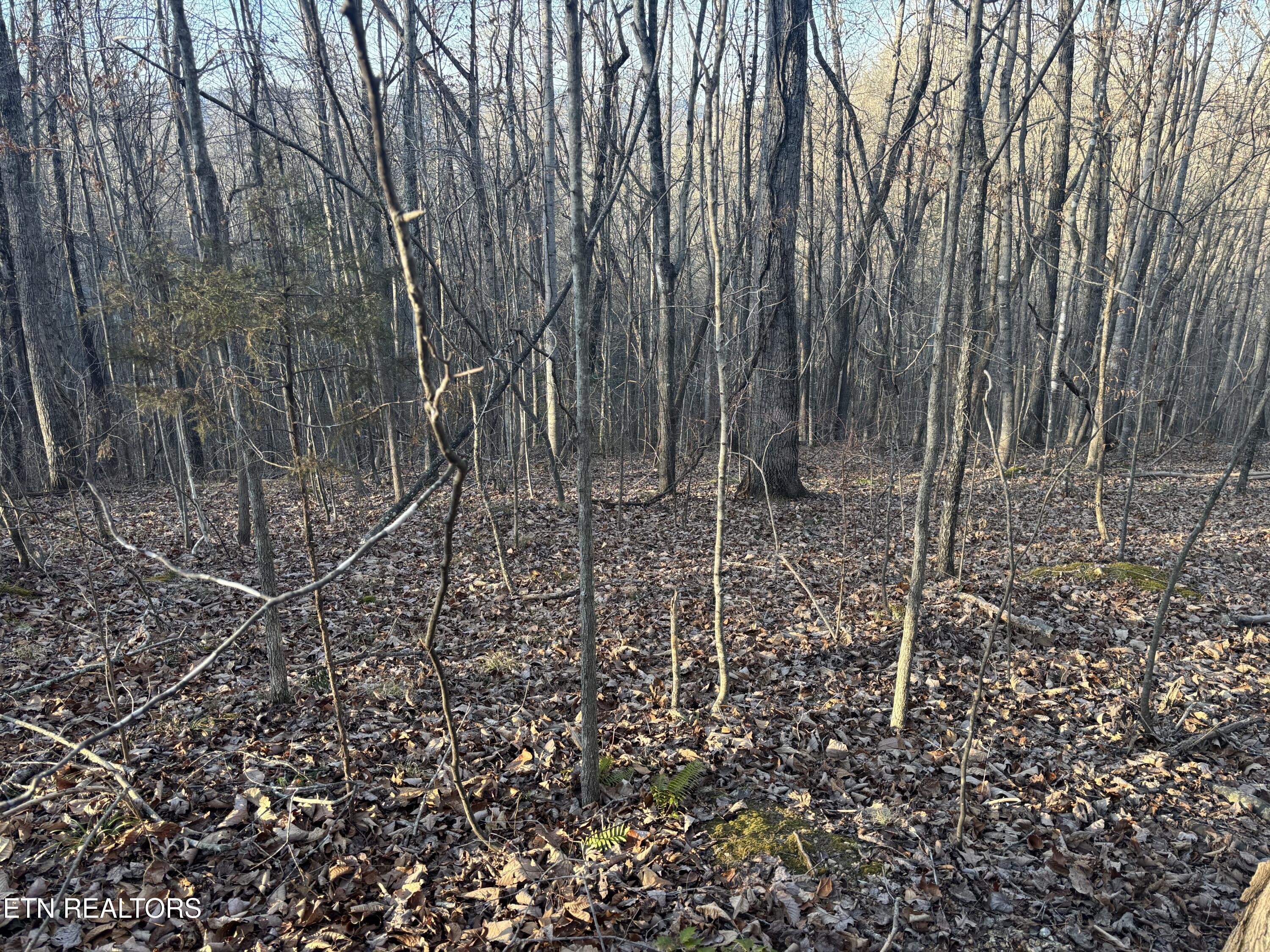 Kay Drive Lafollette TN 37766