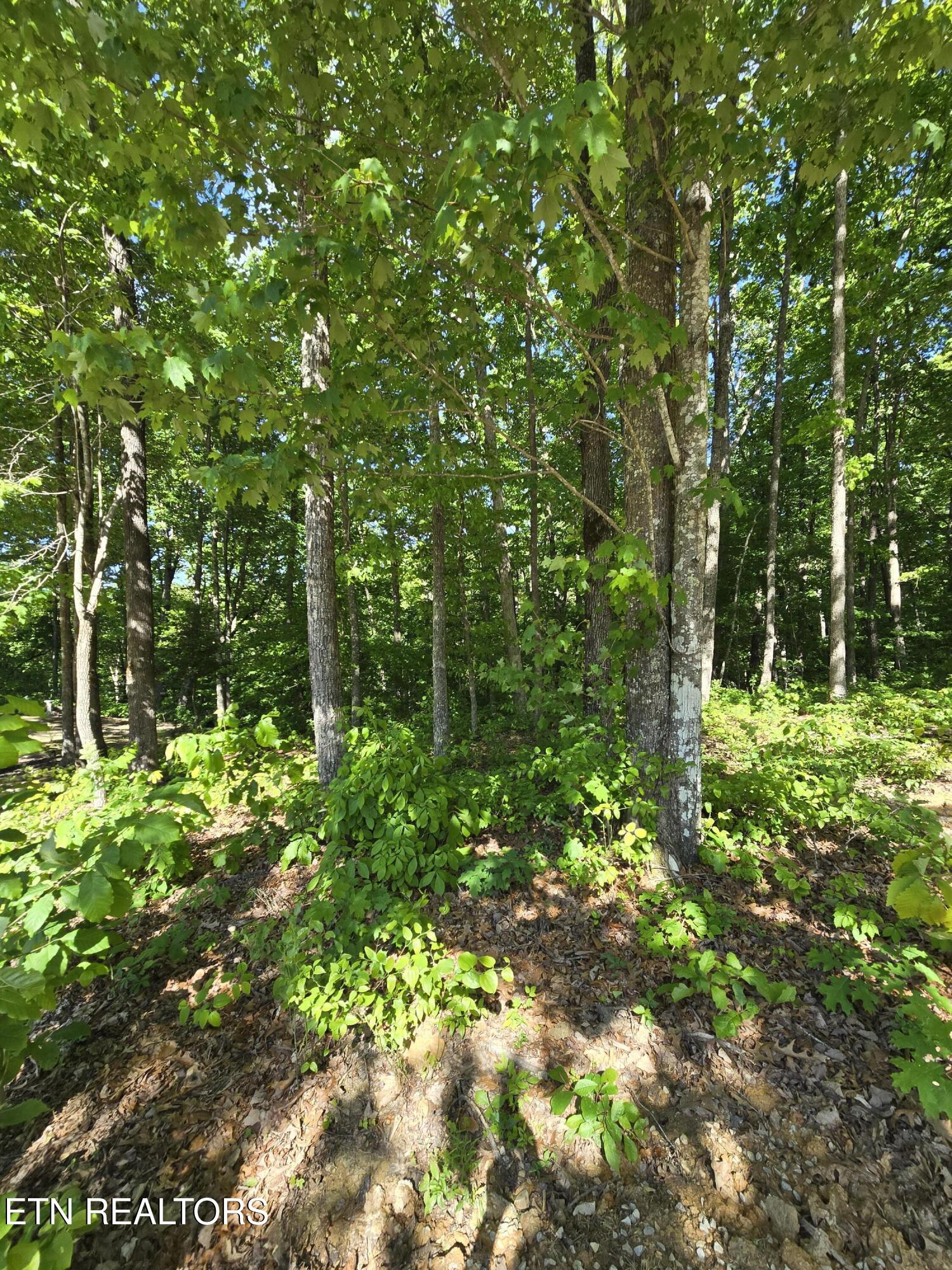Lot 88 Grandview Way Jamestown TN 38556