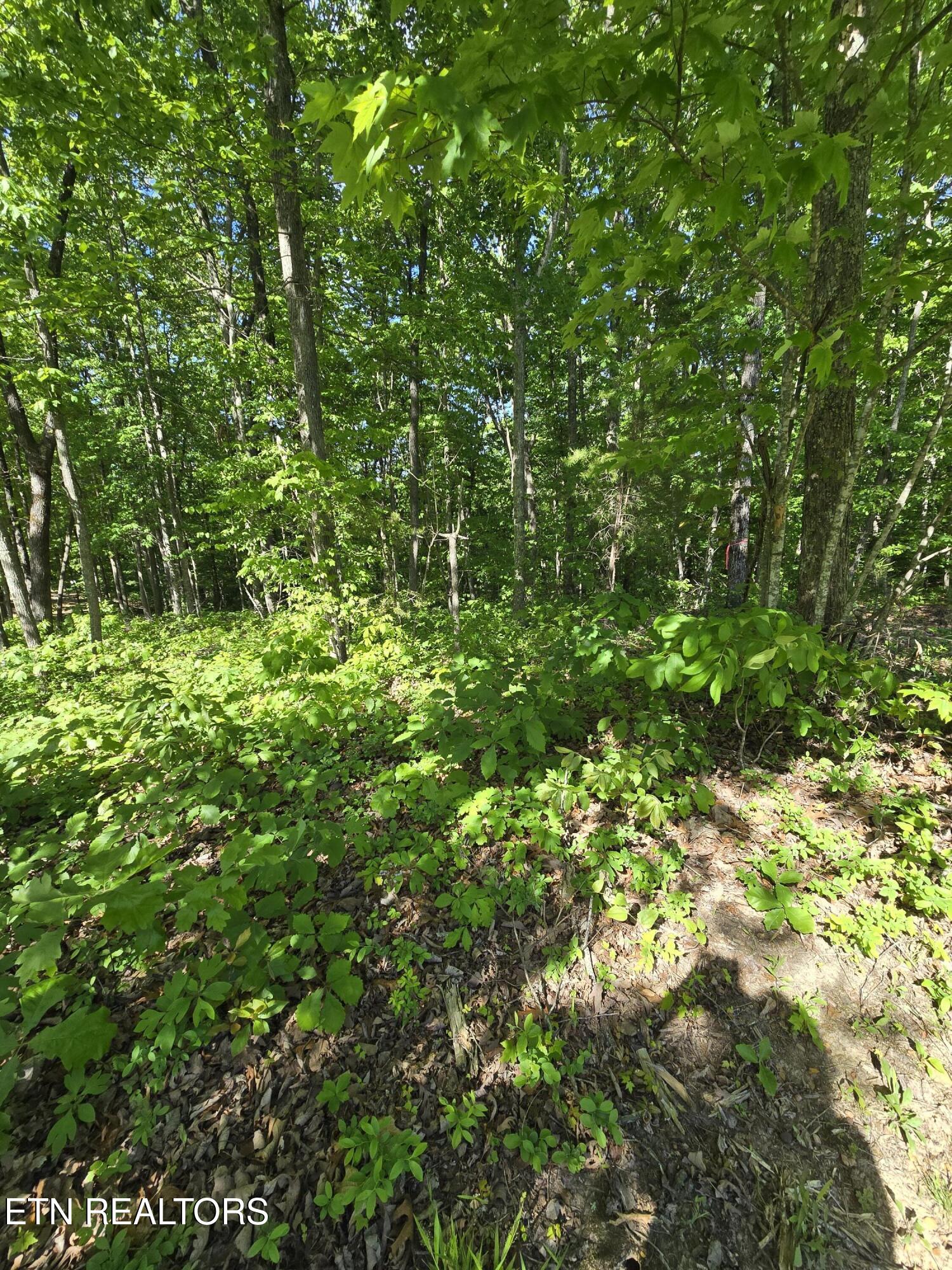 Lot 88 Grandview Way Jamestown TN 38556