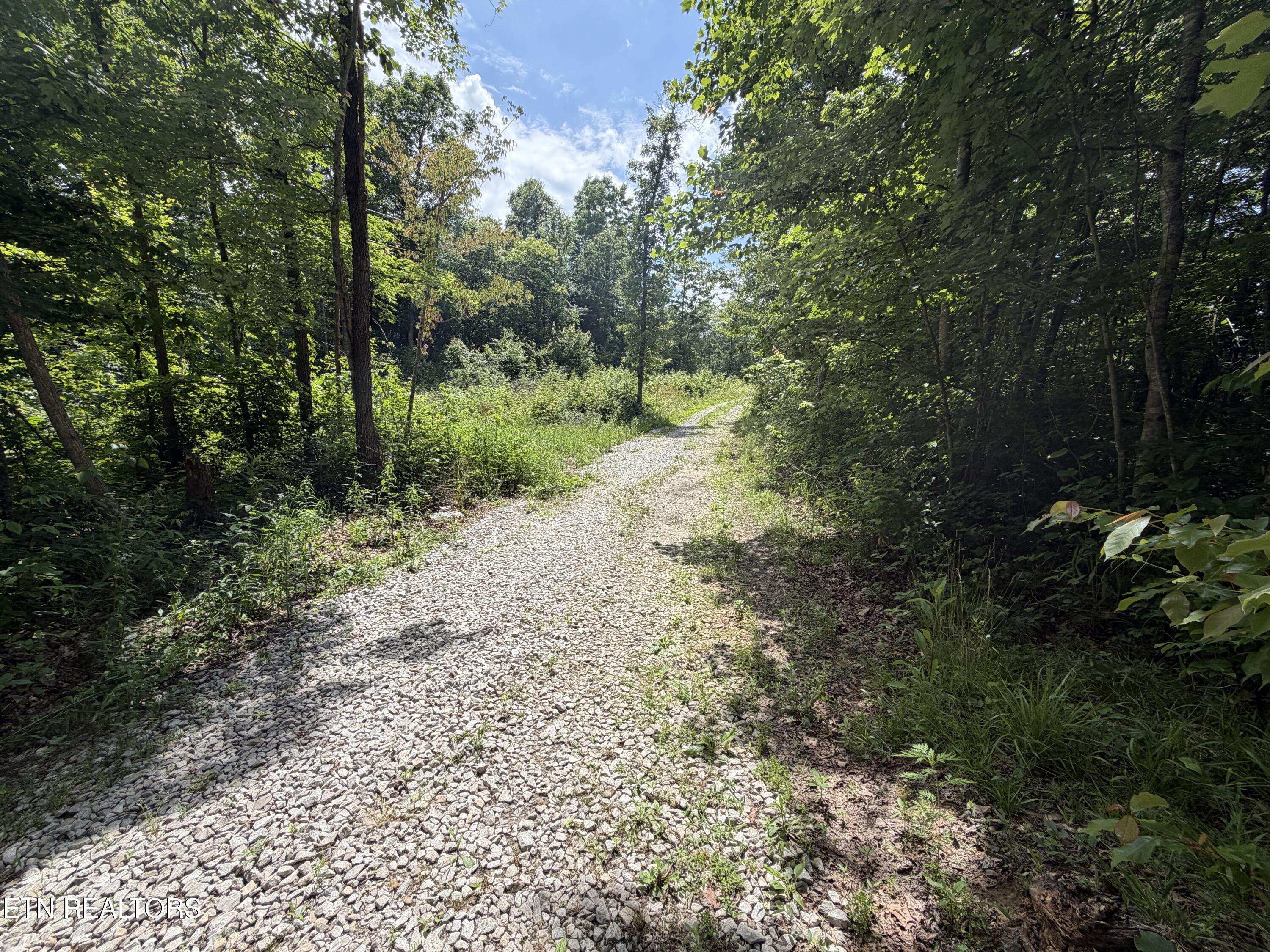768 Remington Road Jamestown TN 38556