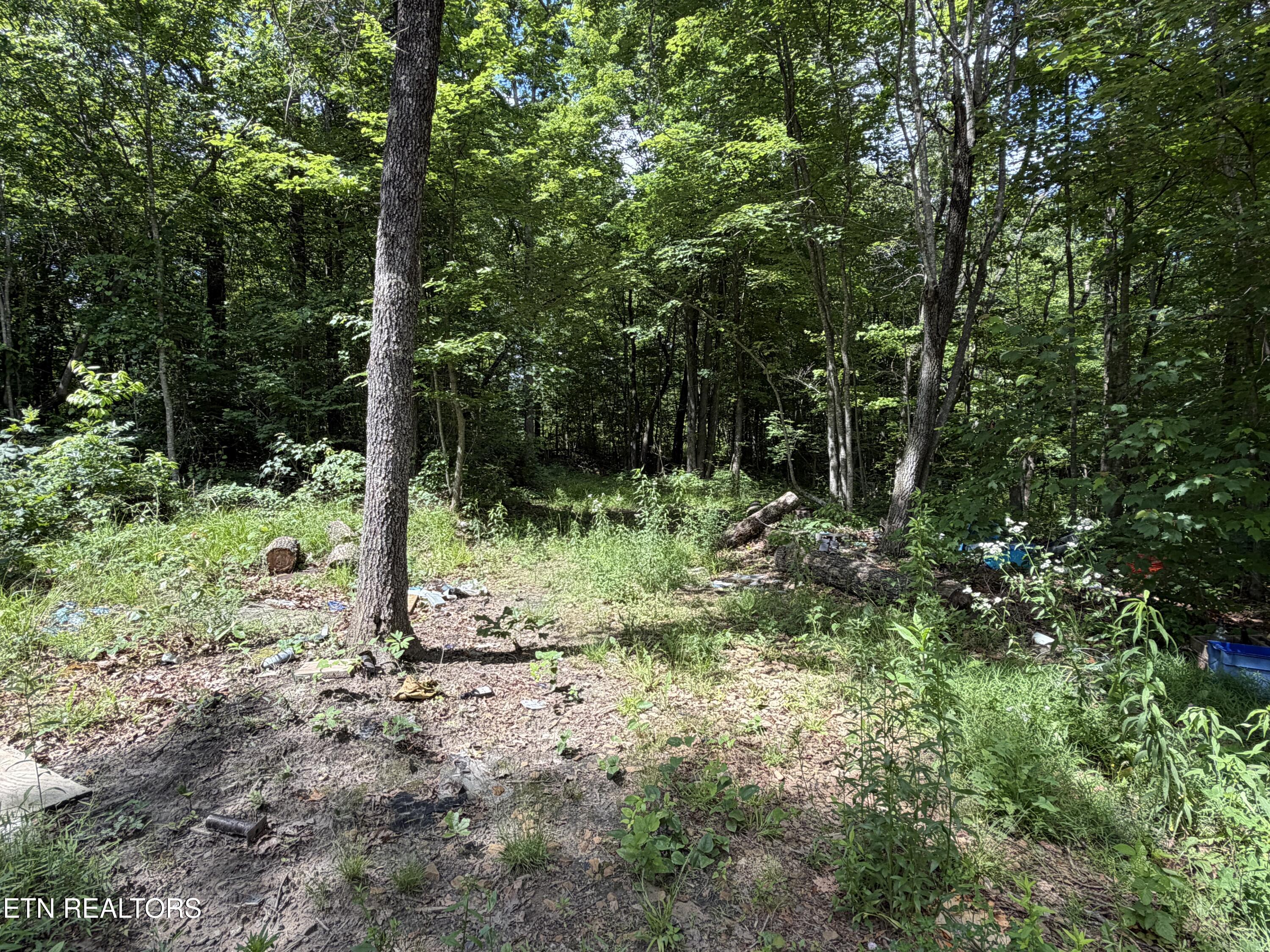 768 Remington Road Jamestown TN 38556