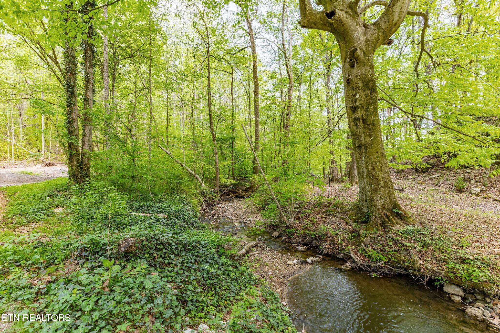 8 Ac +/-Tollgate Road Rockwood TN 37854