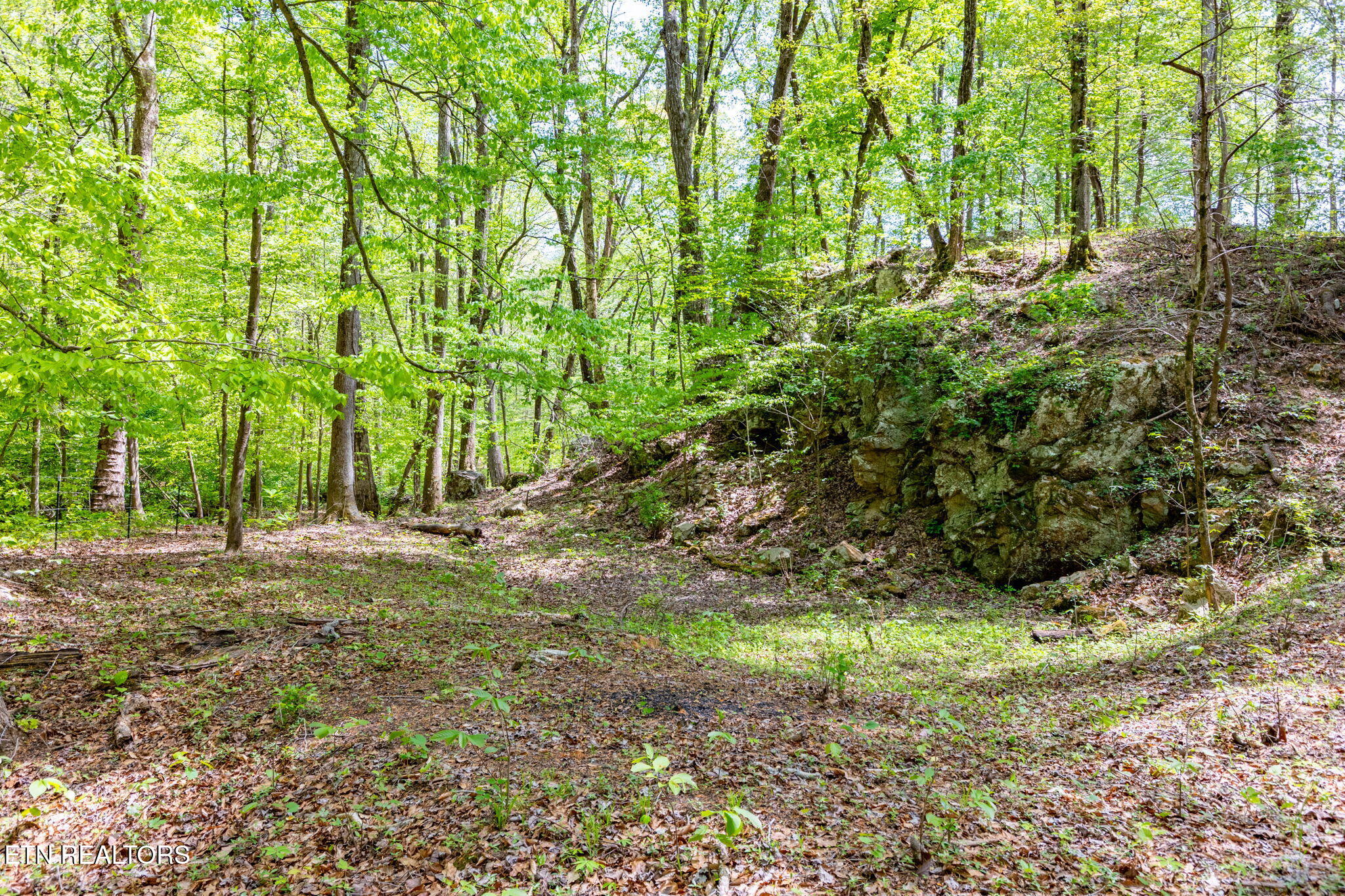 8 Ac +/-Tollgate Road Rockwood TN 37854