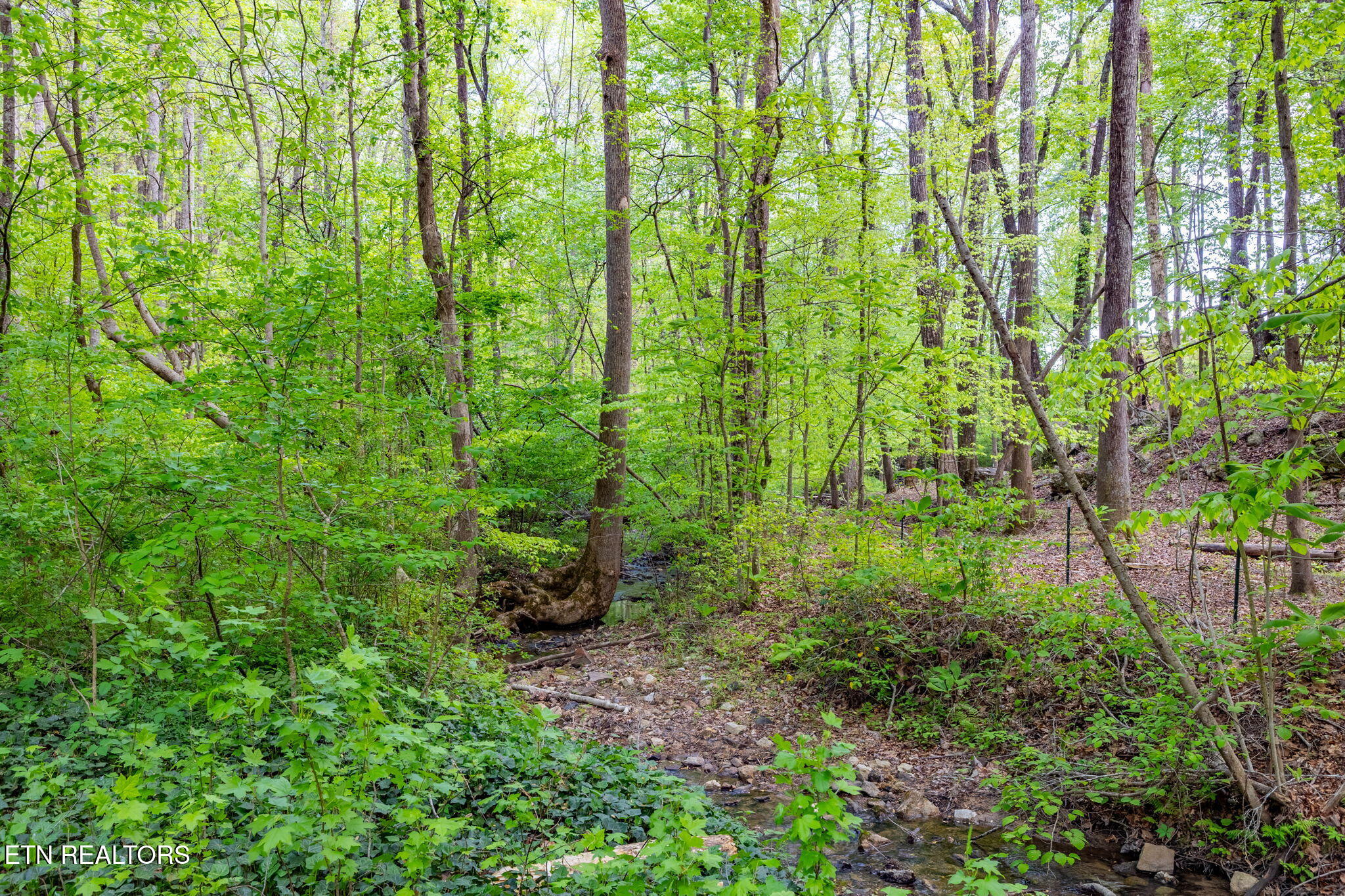 8 Ac +/-Tollgate Road Rockwood TN 37854