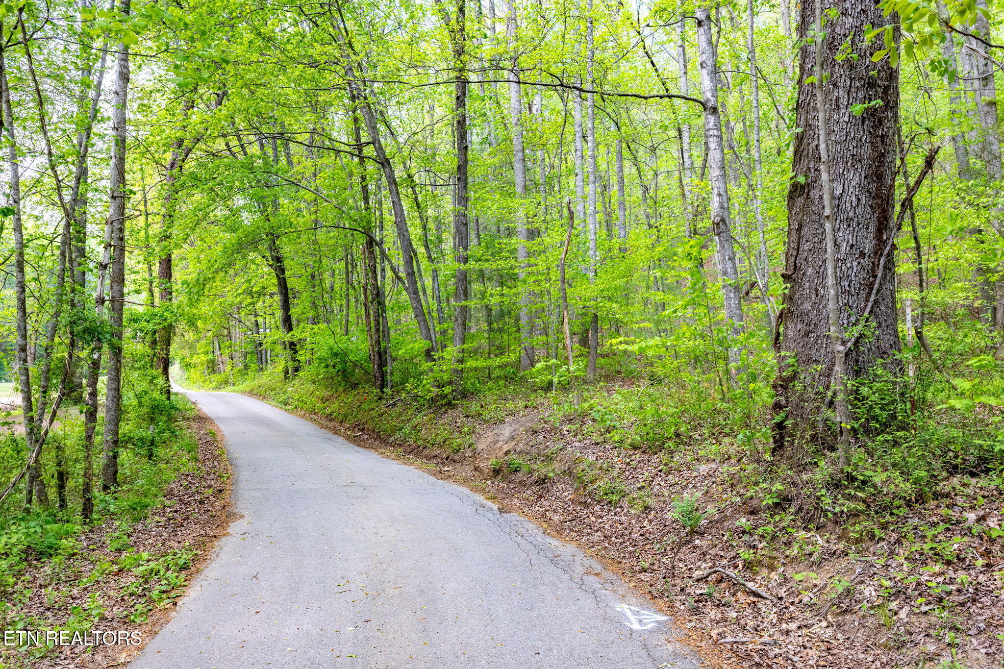 8 Ac +/-Tollgate Road Rockwood TN 37854