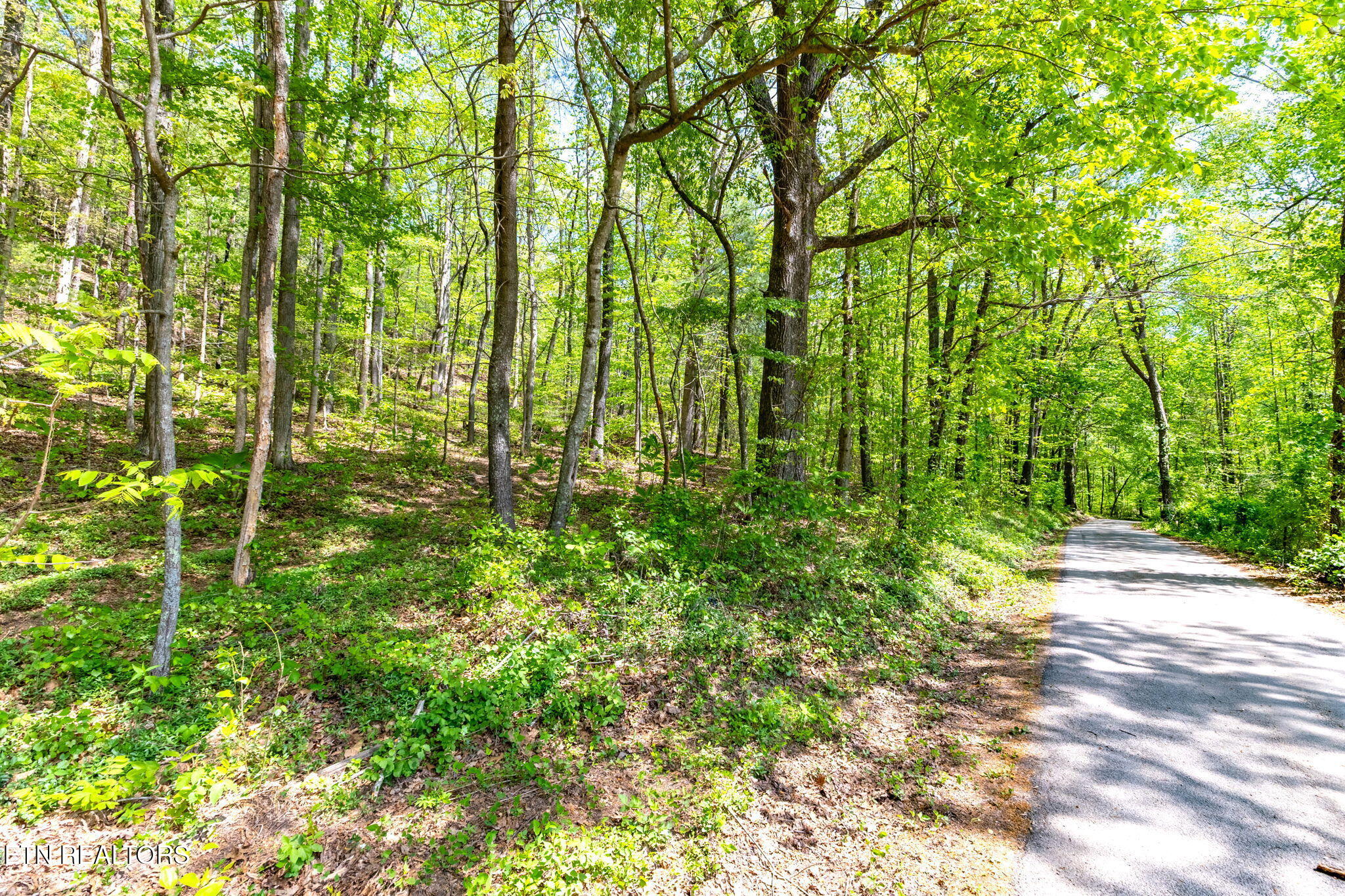 8 Ac +/-Tollgate Road Rockwood TN 37854
