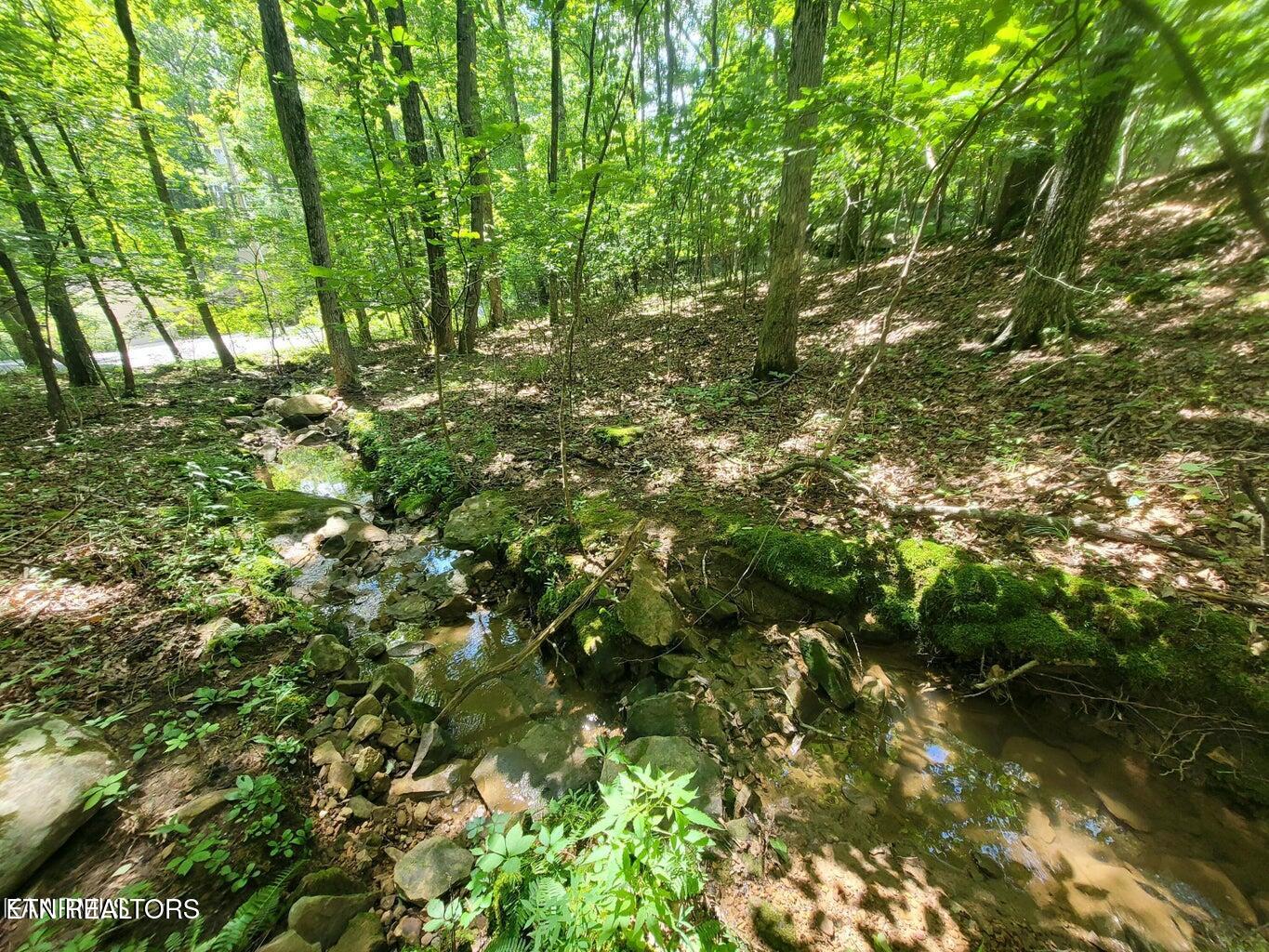 159 Sugarbush Circle Crossville TN 38558
