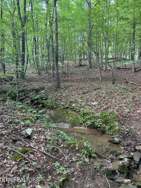 159 Sugarbush Circle Crossville TN 38558