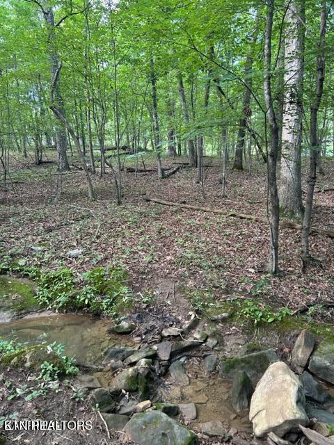 159 Sugarbush Circle Crossville TN 38558
