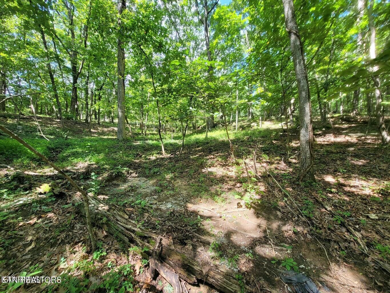 159 Sugarbush Circle Crossville TN 38558