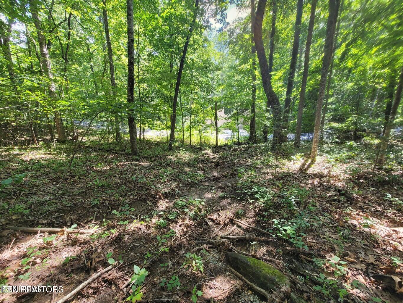 159 Sugarbush Circle Crossville TN 38558