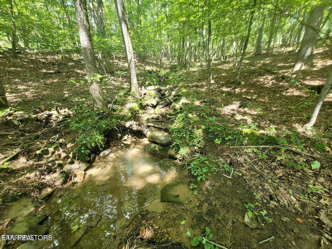159 Sugarbush Circle Crossville TN 38558