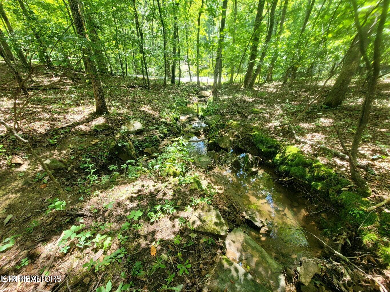 159 Sugarbush Circle Crossville TN 38558