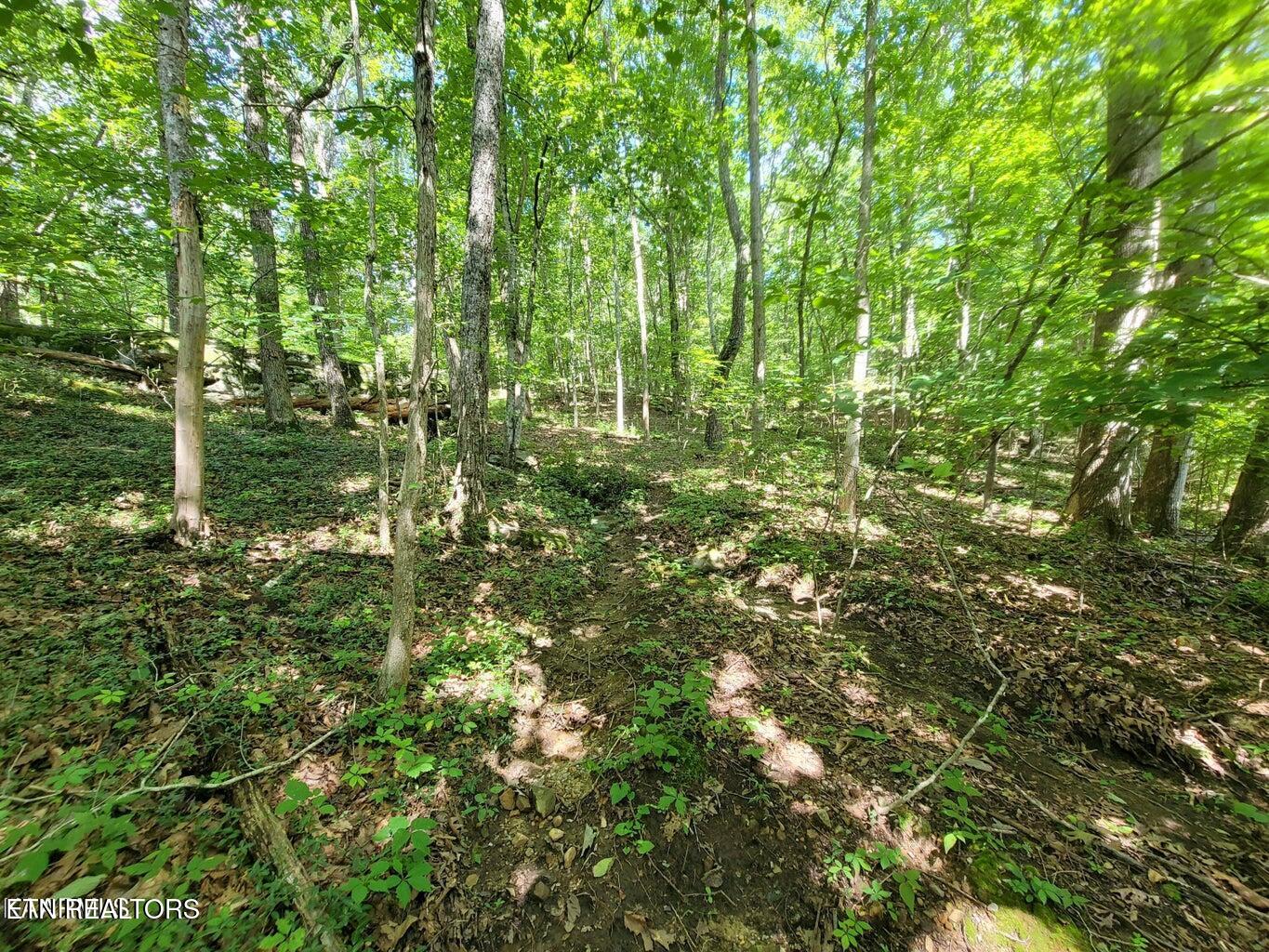 159 Sugarbush Circle Crossville TN 38558