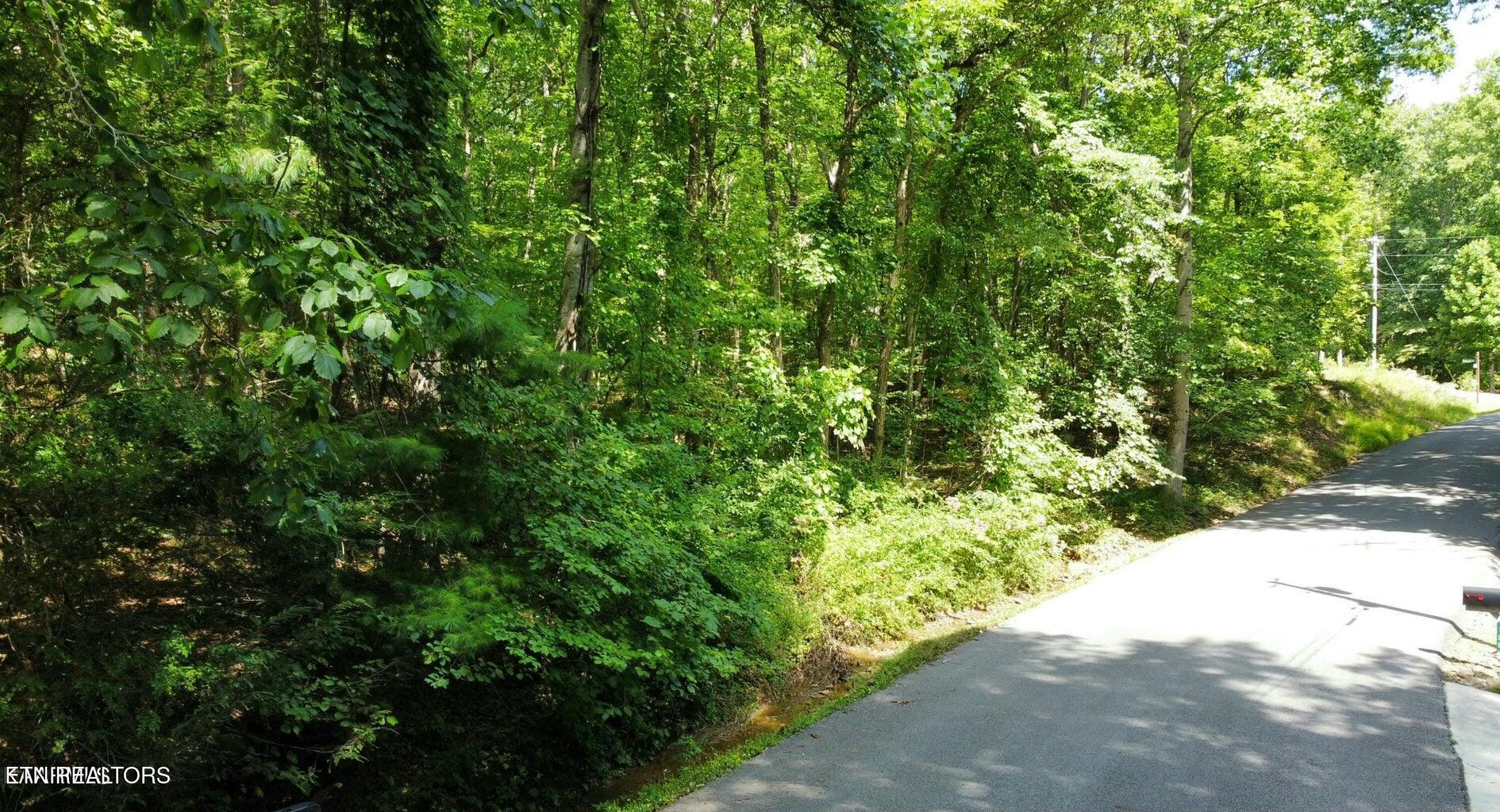 159 Sugarbush Circle Crossville TN 38558