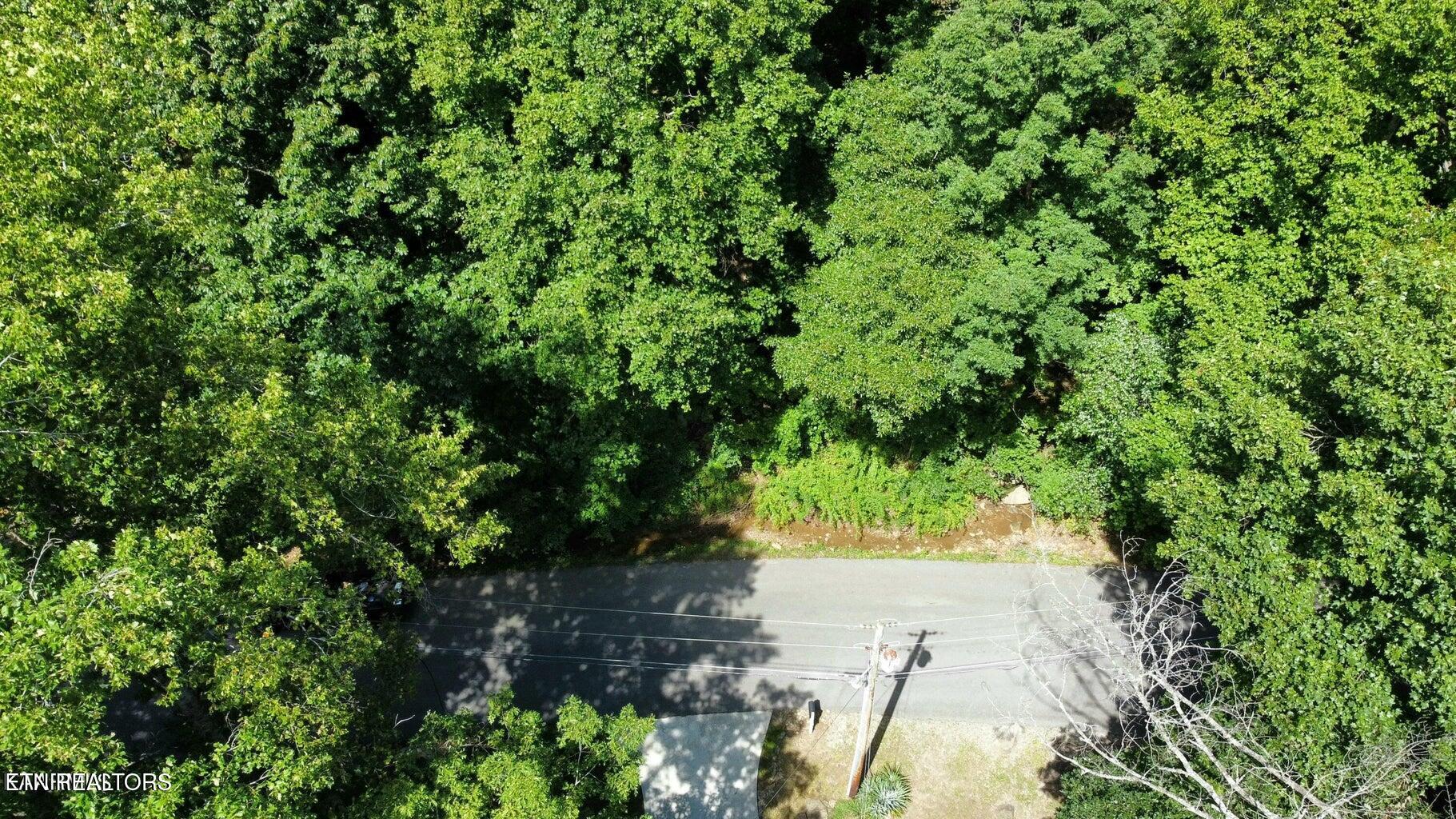 159 Sugarbush Circle Crossville TN 38558