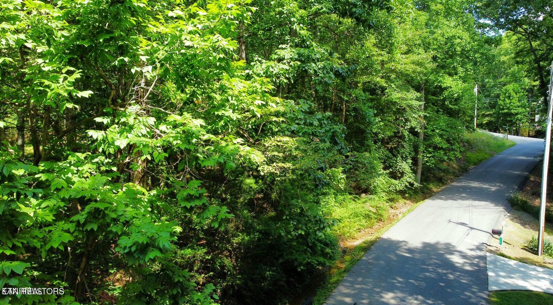 159 Sugarbush Circle Crossville TN 38558