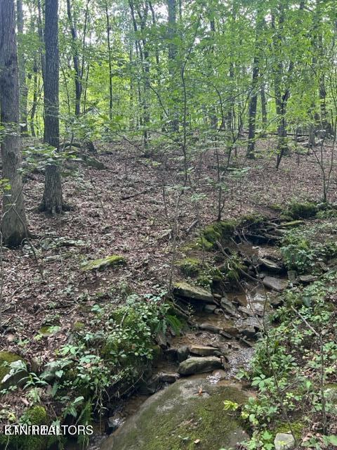 159 Sugarbush Circle Crossville TN 38558