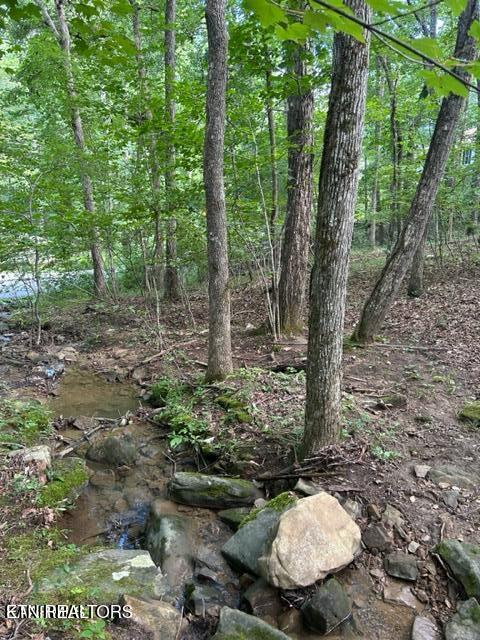 159 Sugarbush Circle Crossville TN 38558