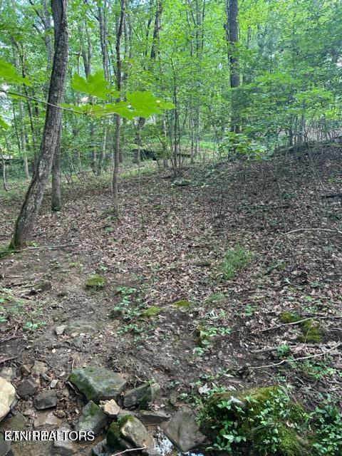 159 Sugarbush Circle Crossville TN 38558
