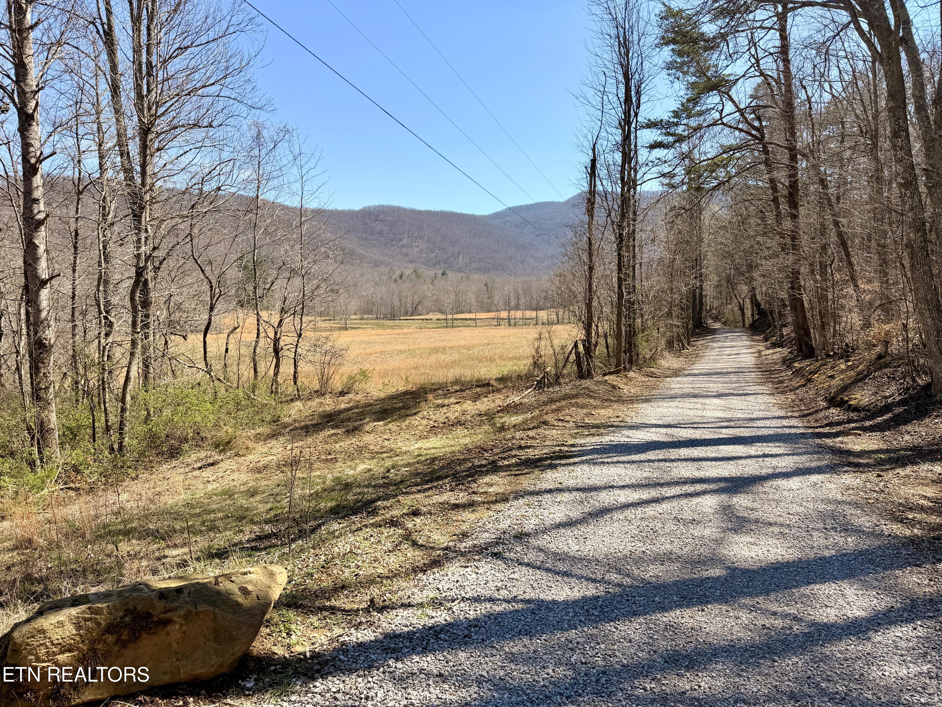 293 Herbert Shannon Road Sunbright TN 37872