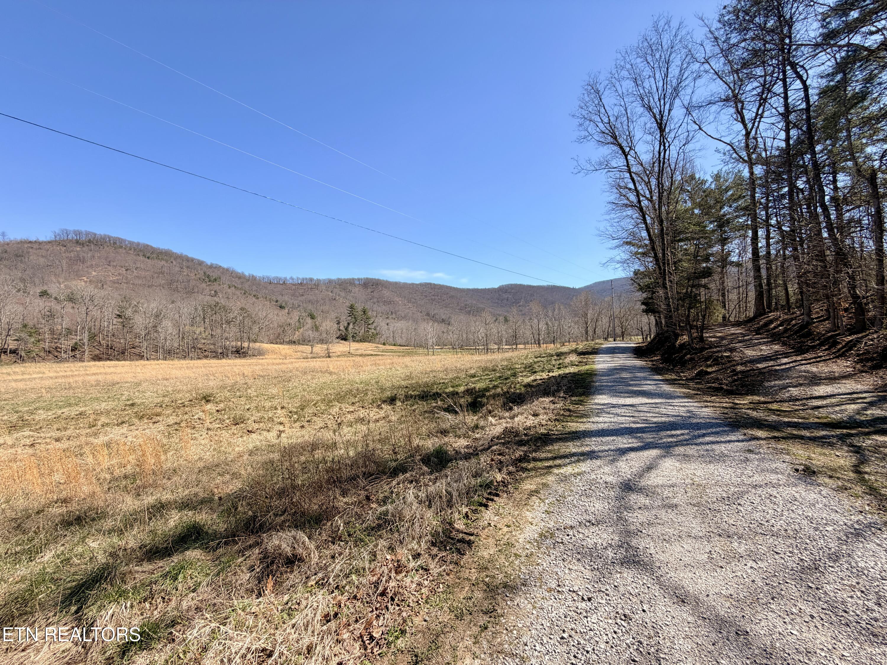 293 Herbert Shannon Road Sunbright TN 37872