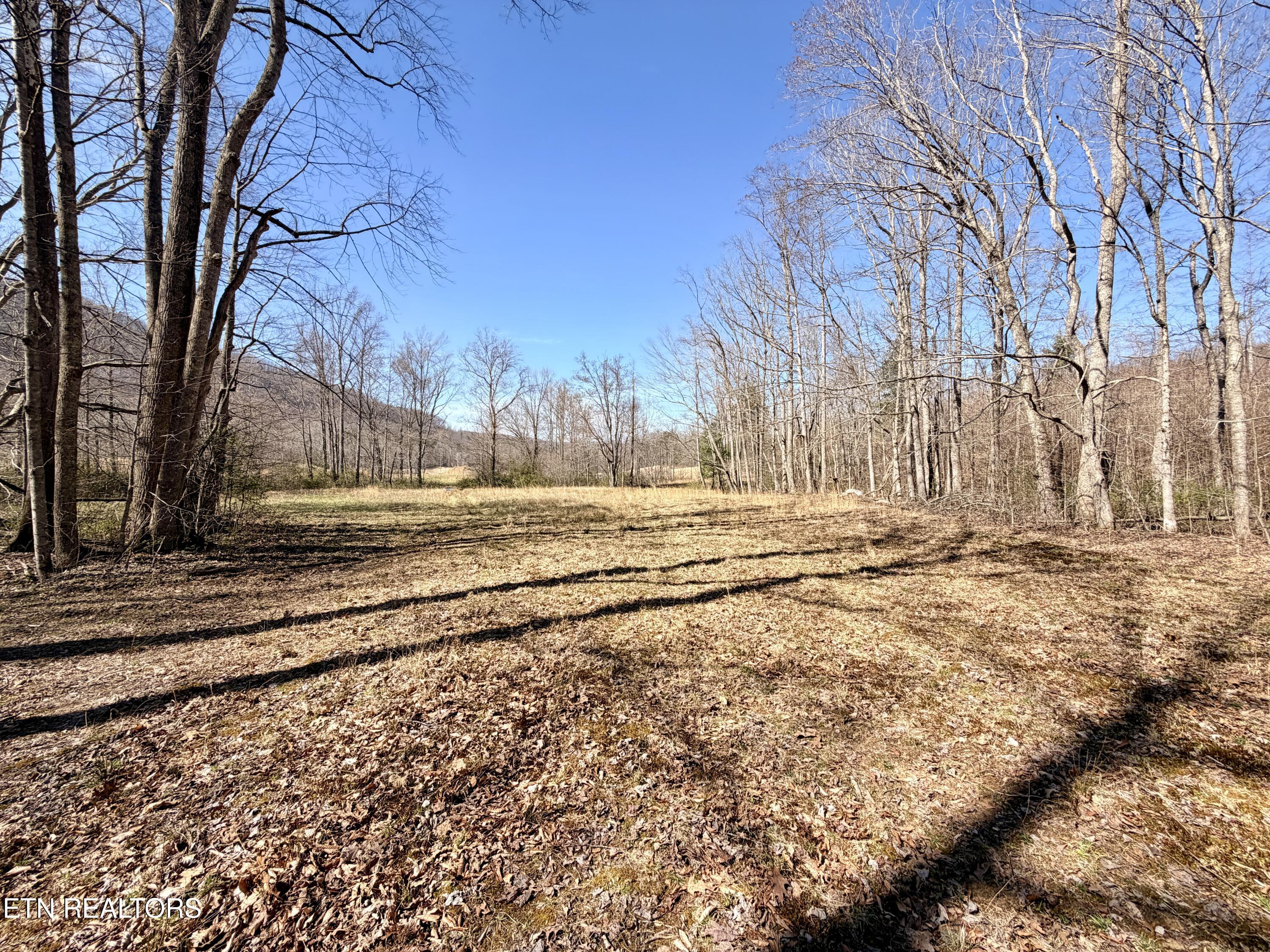 293 Herbert Shannon Road Sunbright TN 37872
