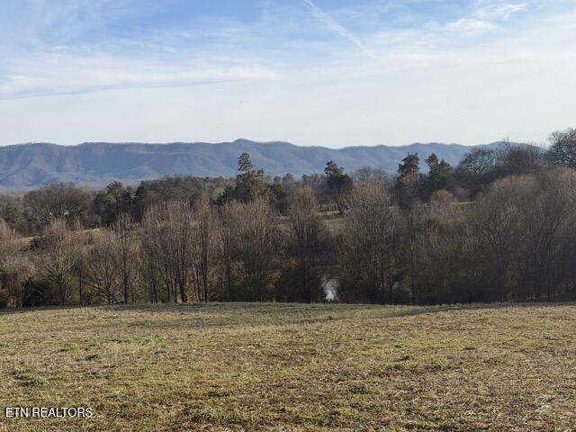 5365 Sevierville (61 Acres) Road Maryville TN 37804