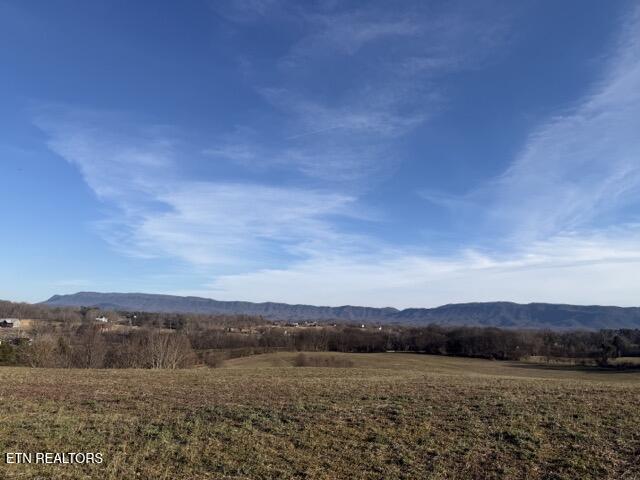 5365 Sevierville (61 Acres) Road Maryville TN 37804