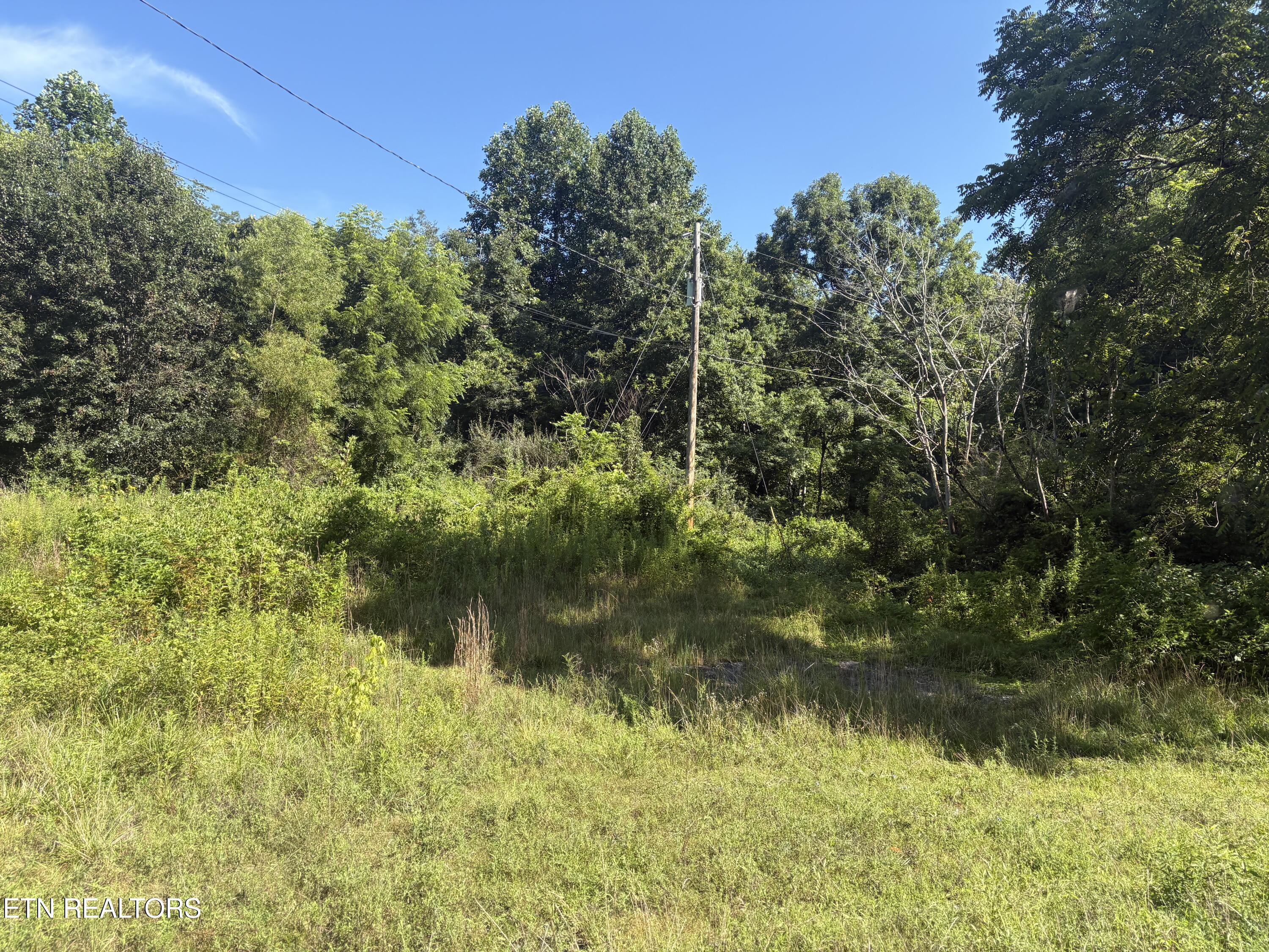 5739 Morgan Co Highway Lancing TN 37770