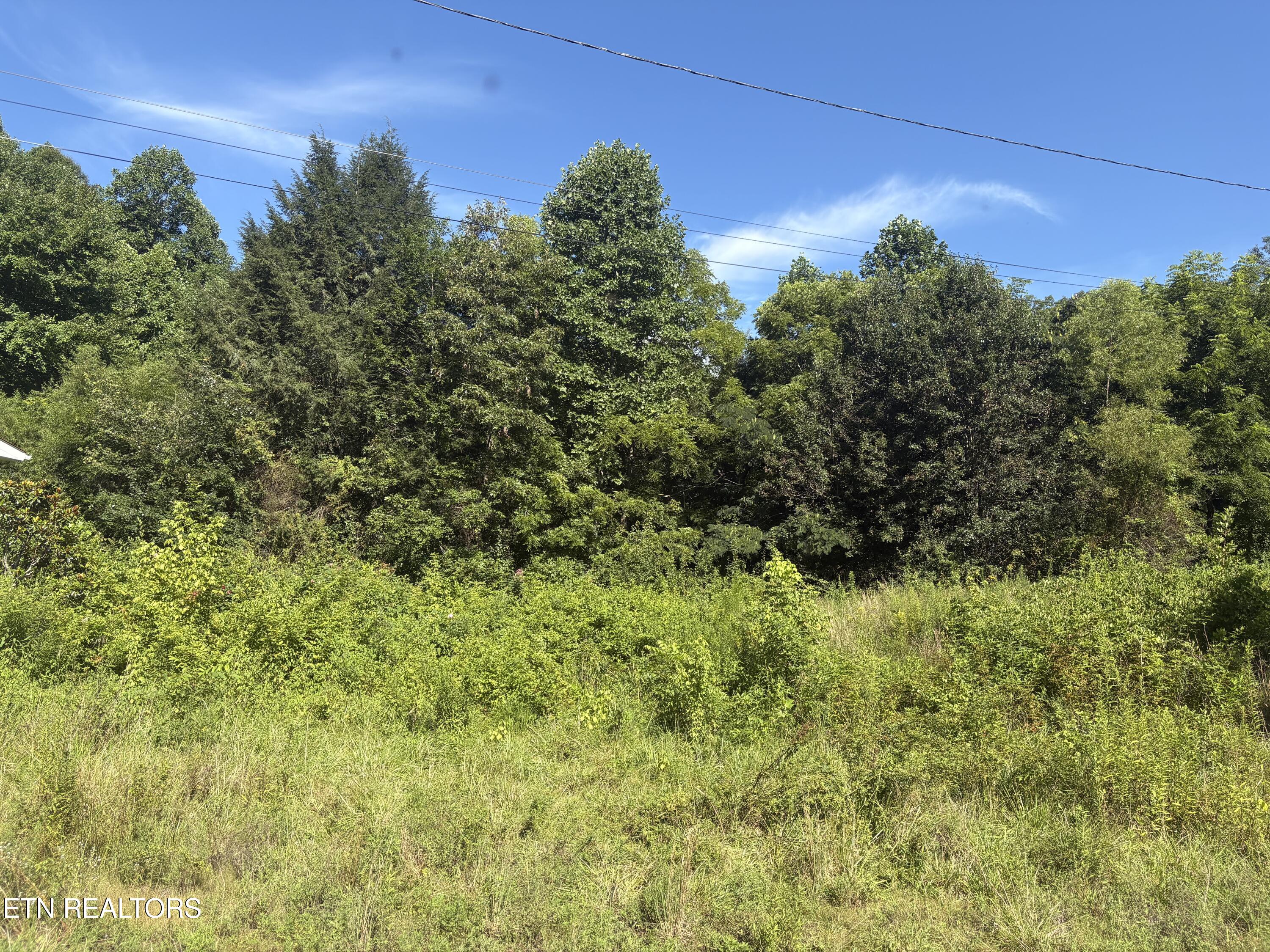 5739 Morgan Co Highway Lancing TN 37770