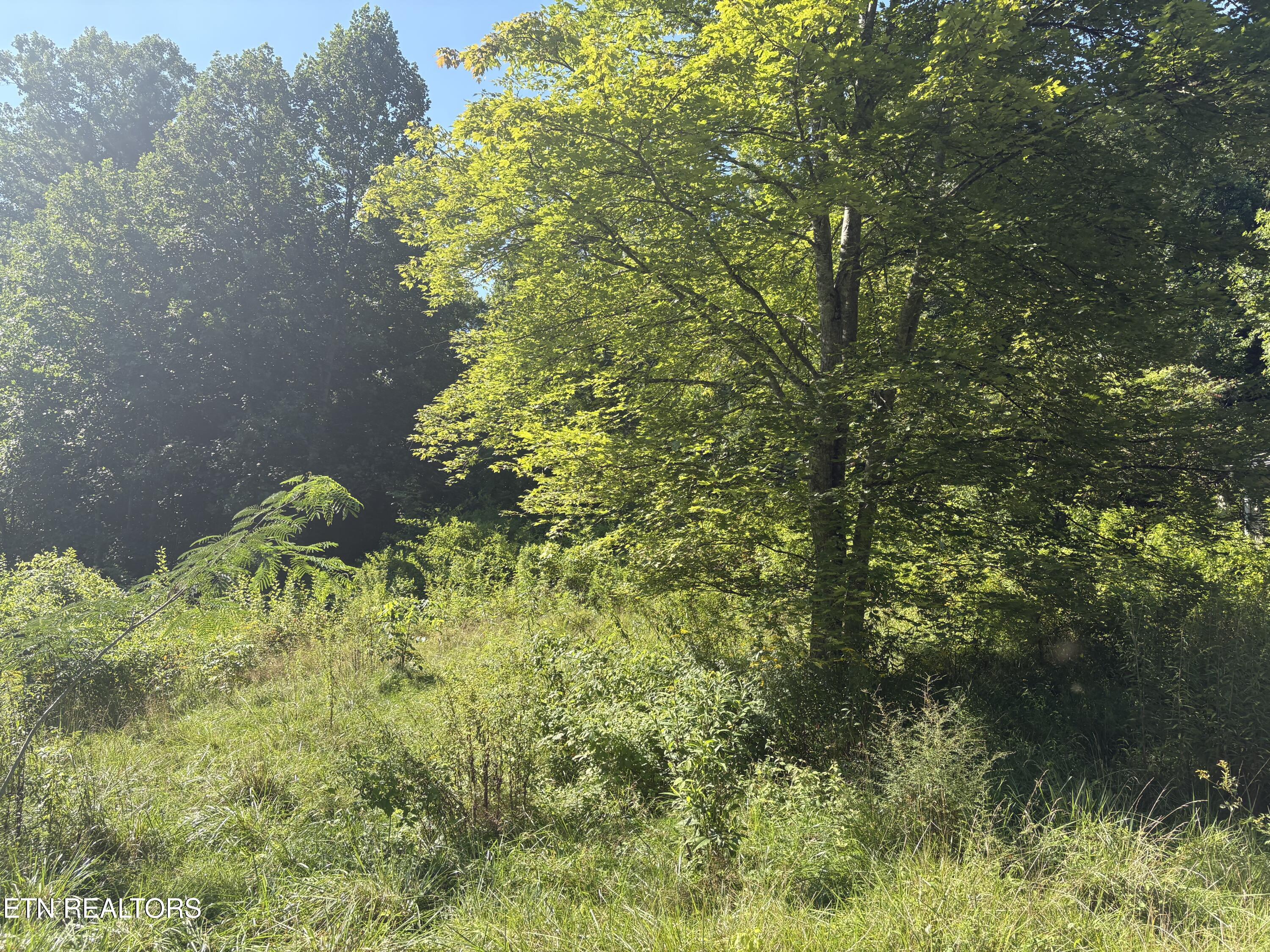 5739 Morgan Co Highway Lancing TN 37770