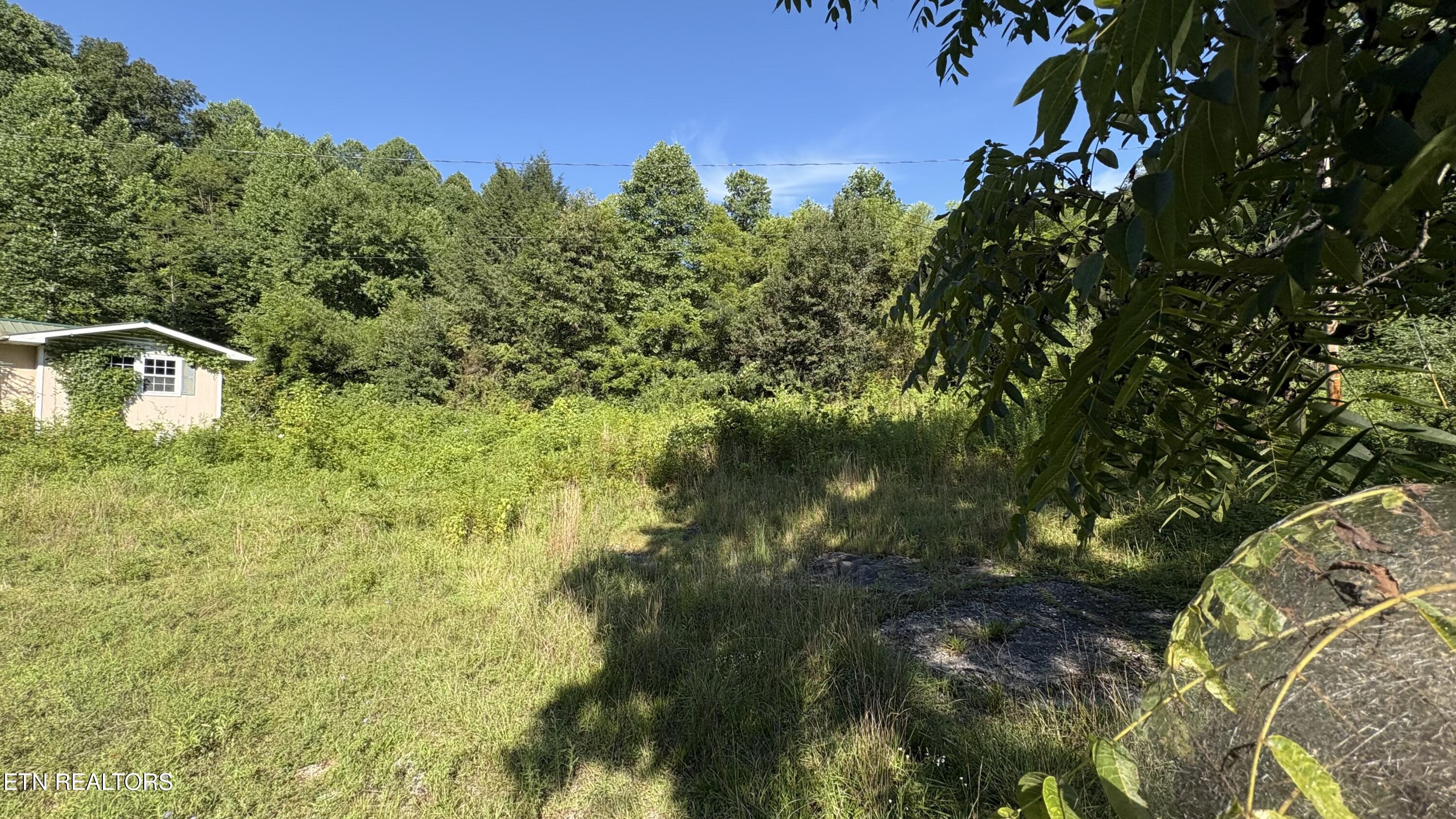 5739 Morgan Co Highway Lancing TN 37770