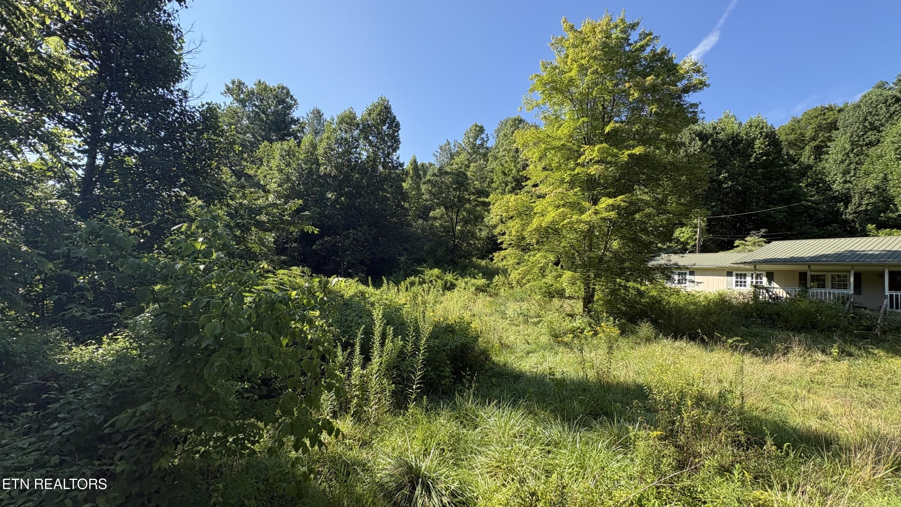 5739 Morgan Co Highway Lancing TN 37770
