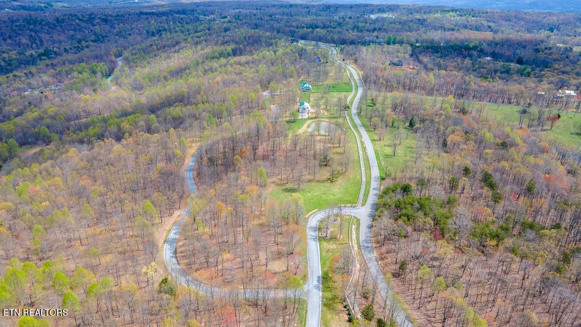 217 A Day Dream Drive Dunlap TN 37327