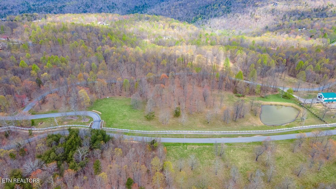 217 A Day Dream Drive Dunlap TN 37327