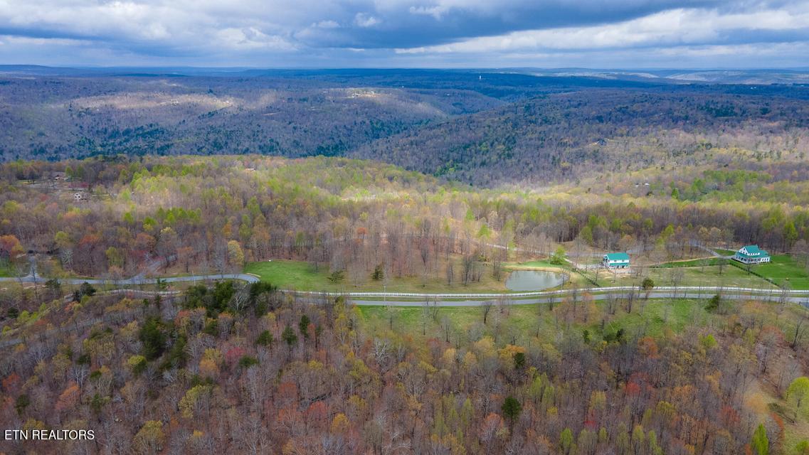 217 A Day Dream Drive Dunlap TN 37327